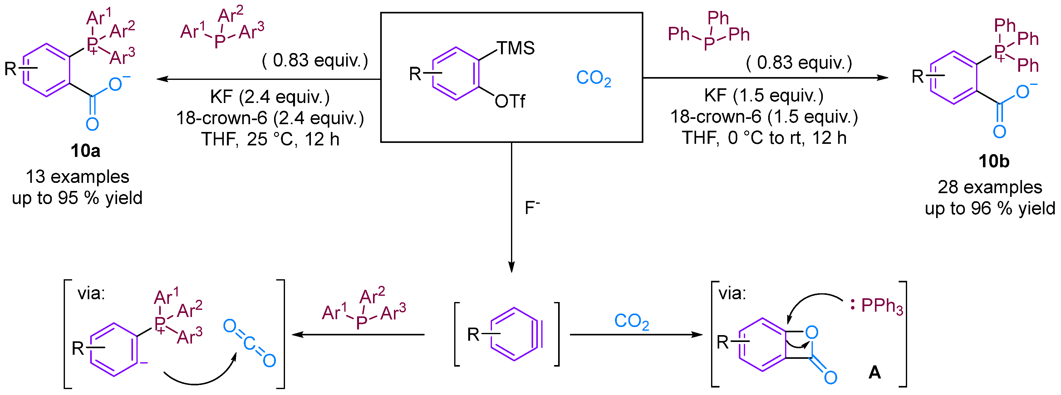 Molecules 29 03152 g012