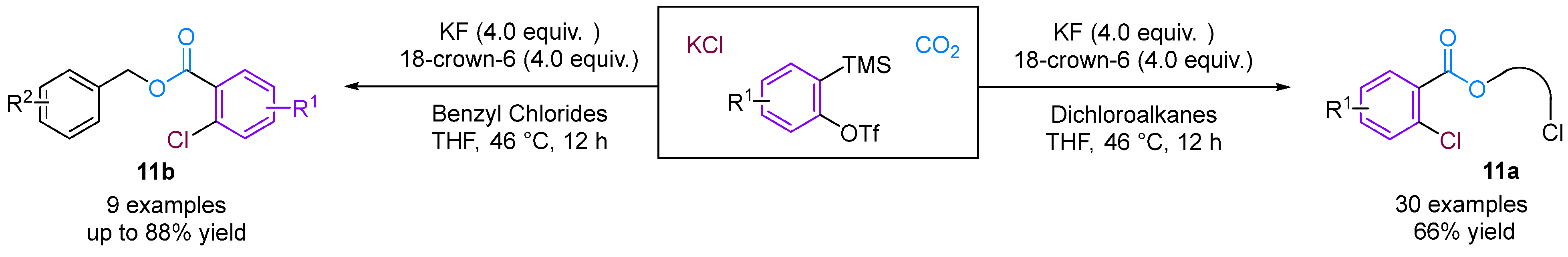 Molecules 29 03152 g013