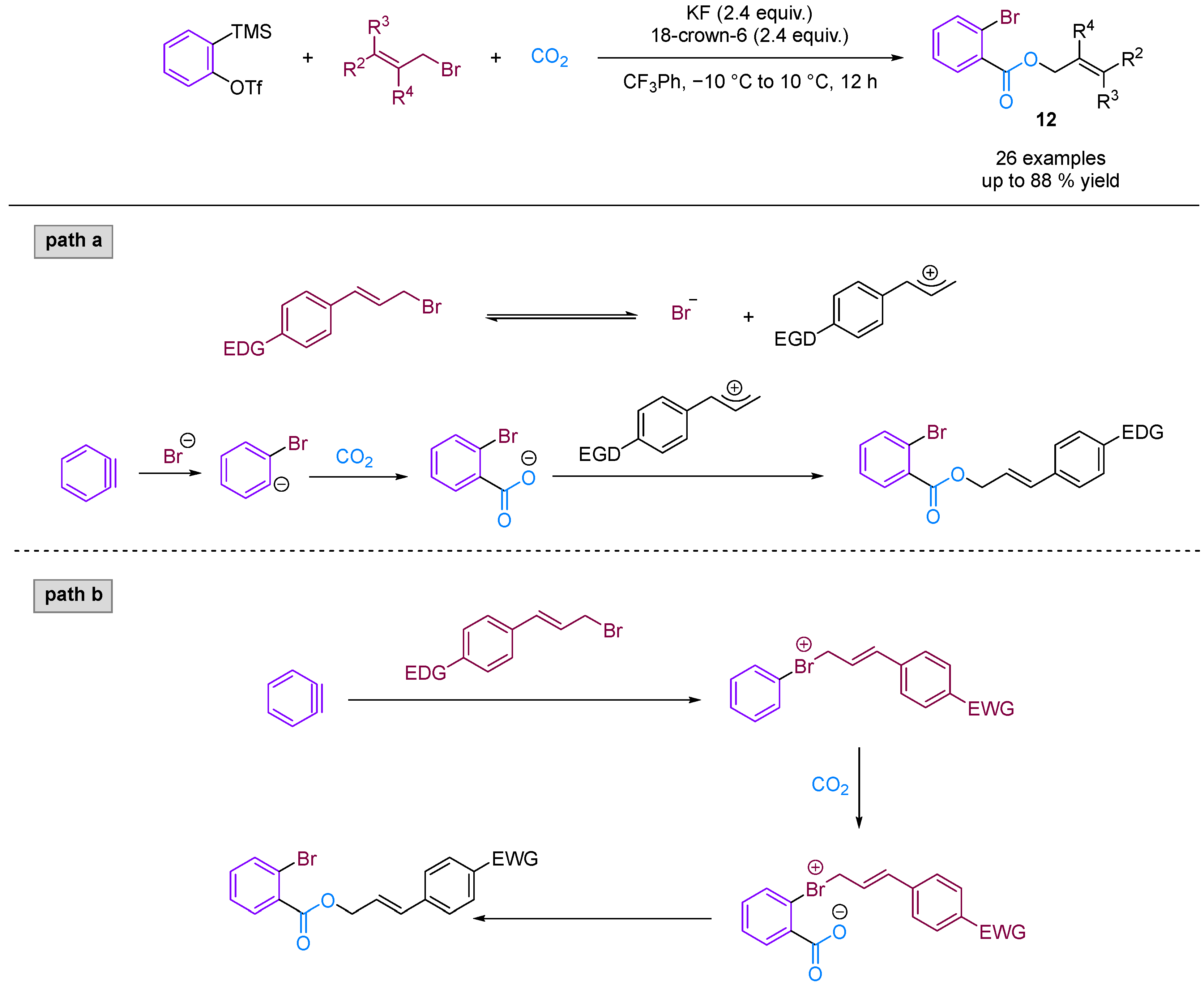 Molecules 29 03152 g014