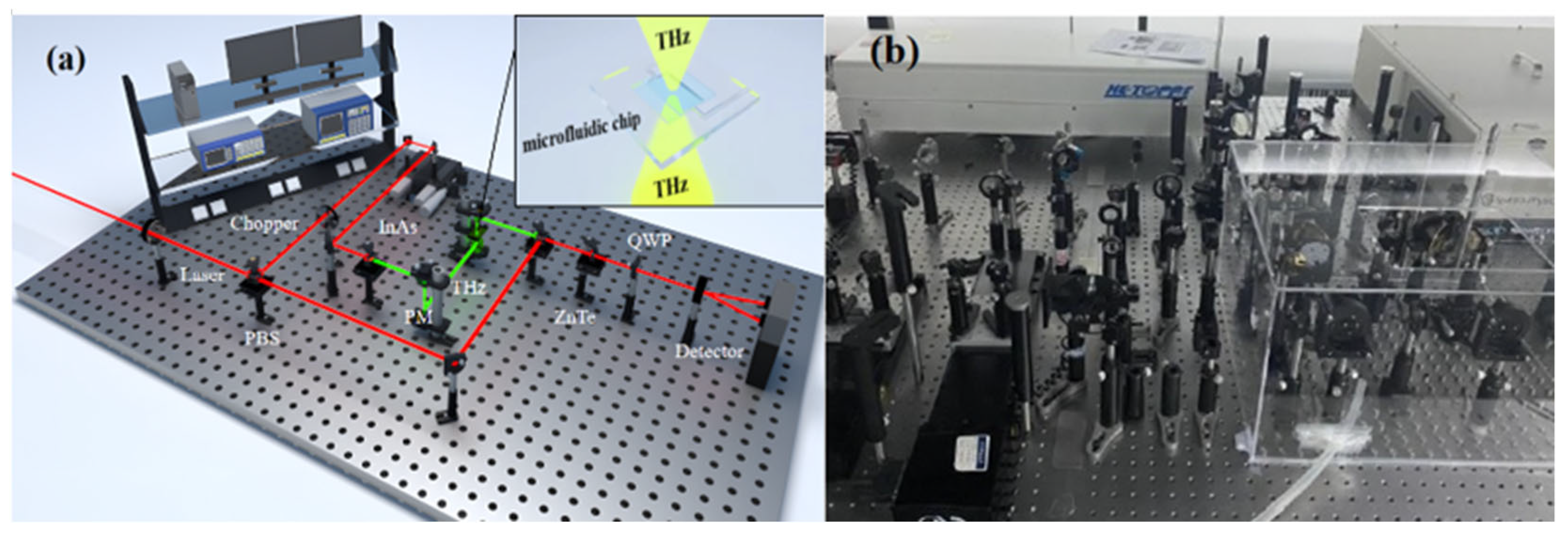 Molecules 29 03154 g010