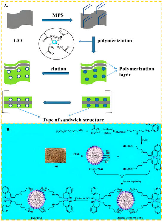 Molecules 29 03160 g002