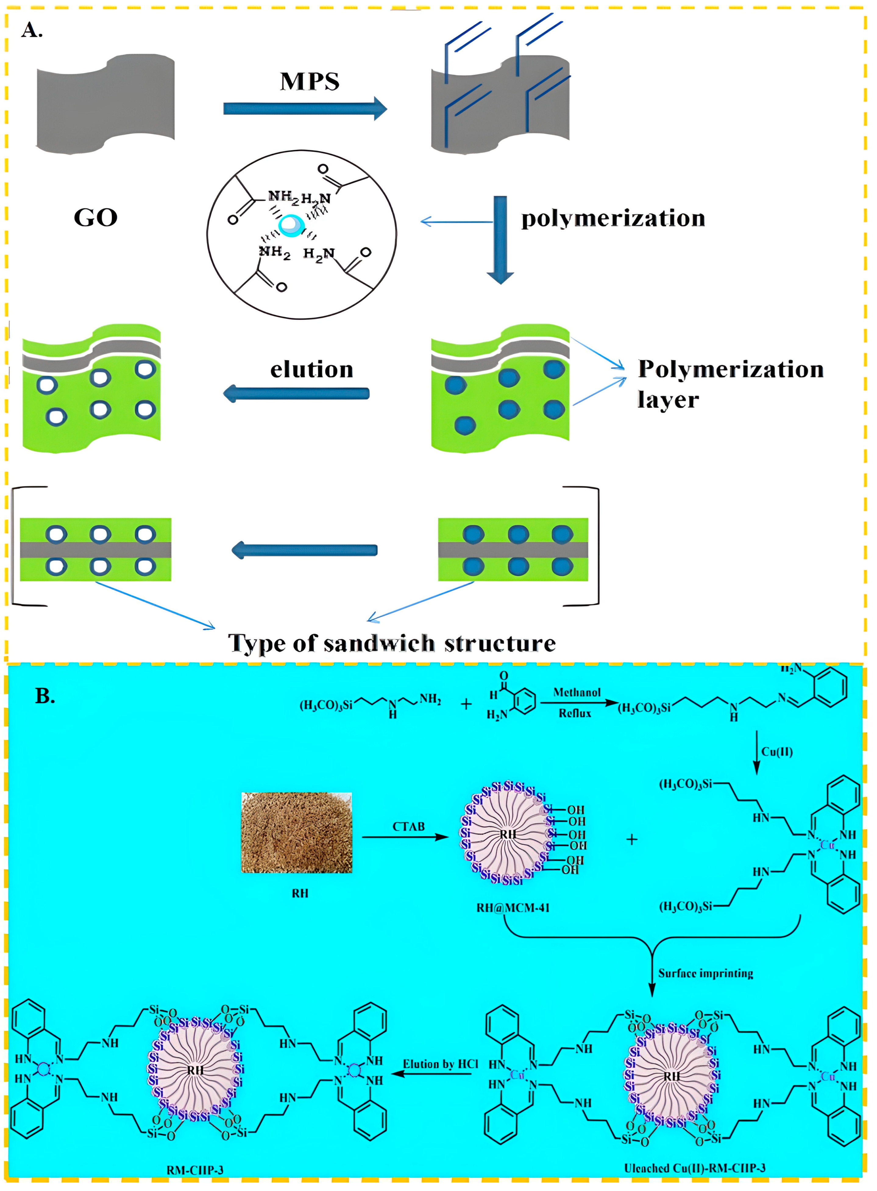 Molecules 29 03160 g002