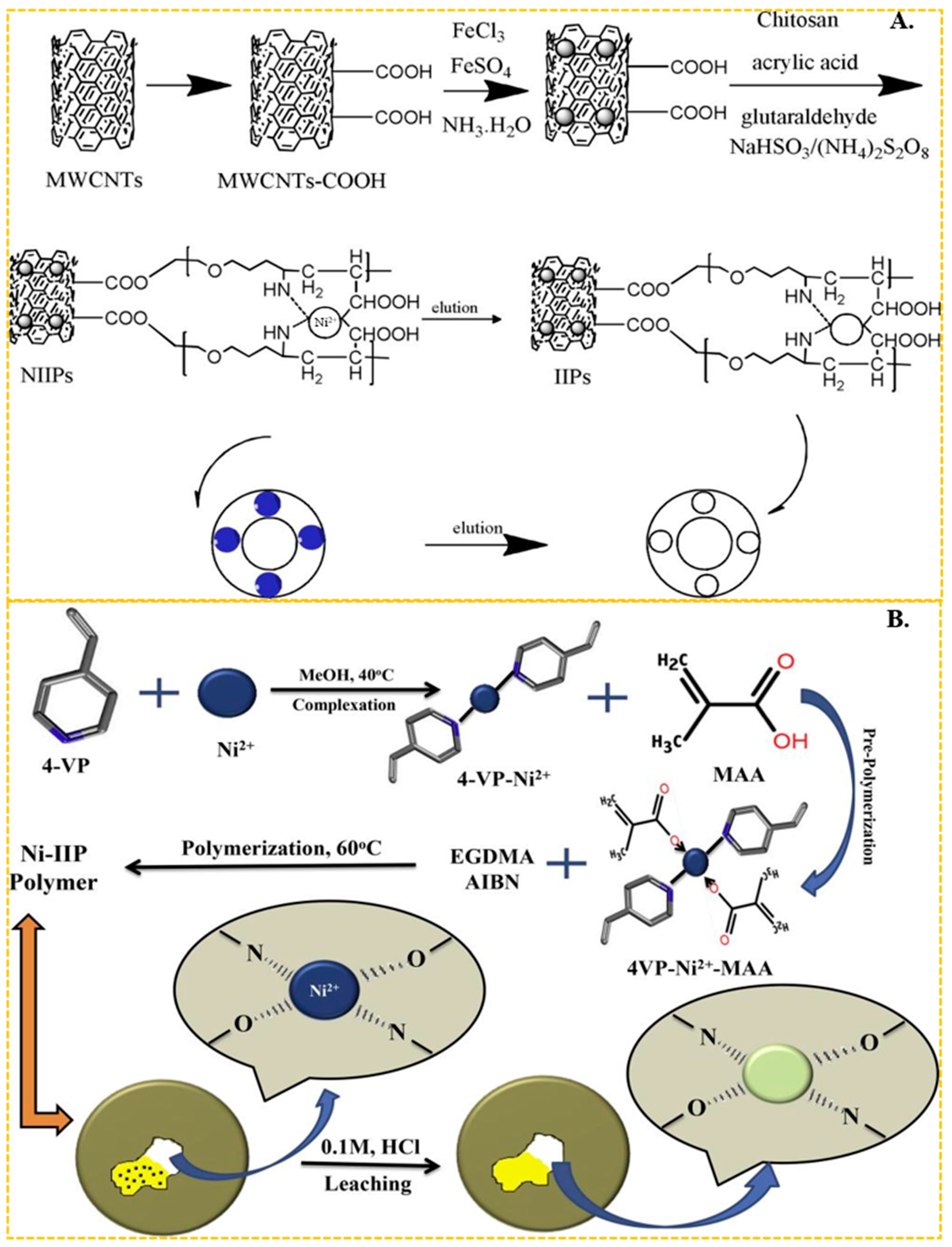 Molecules 29 03160 g003