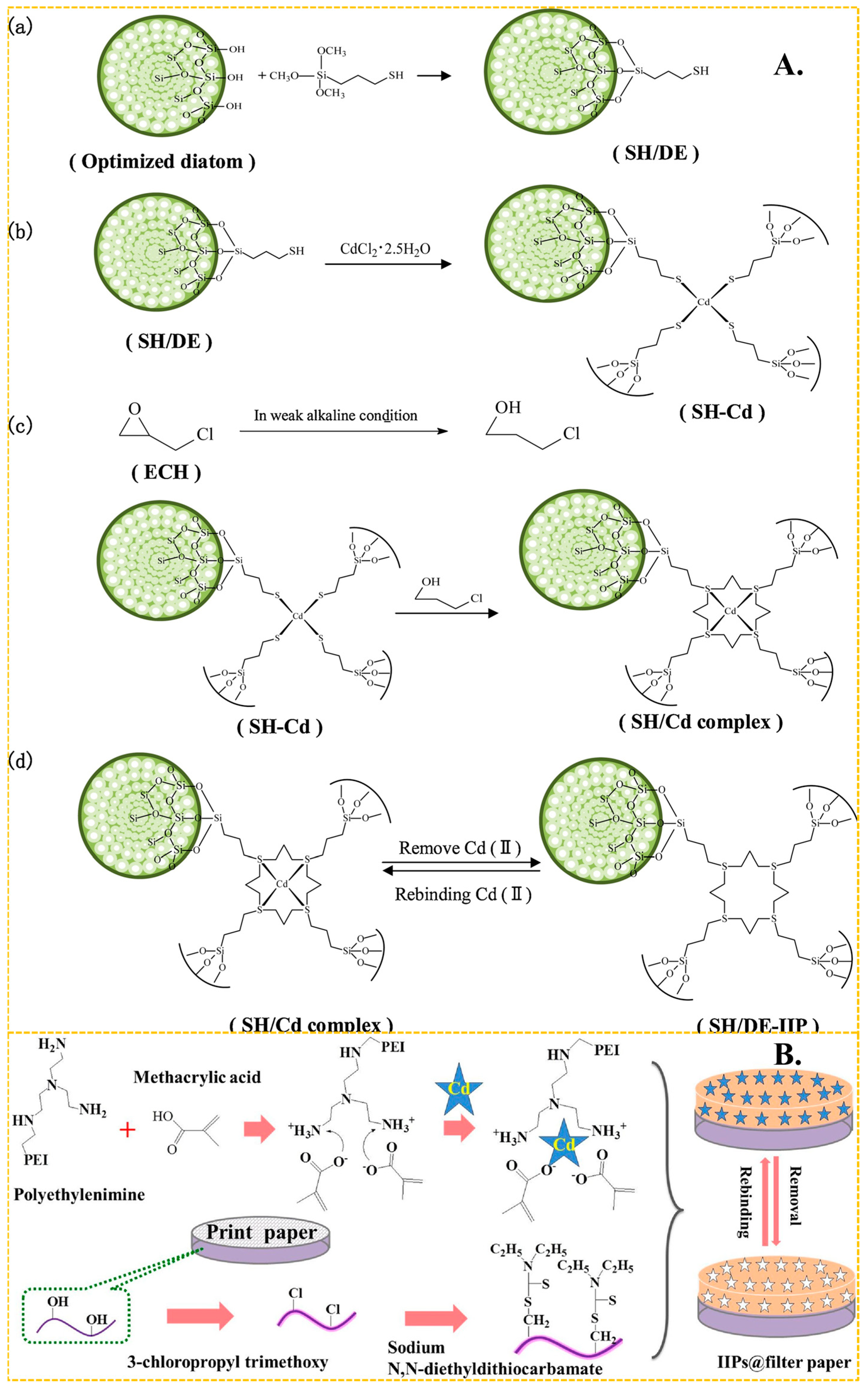 Molecules 29 03160 g004