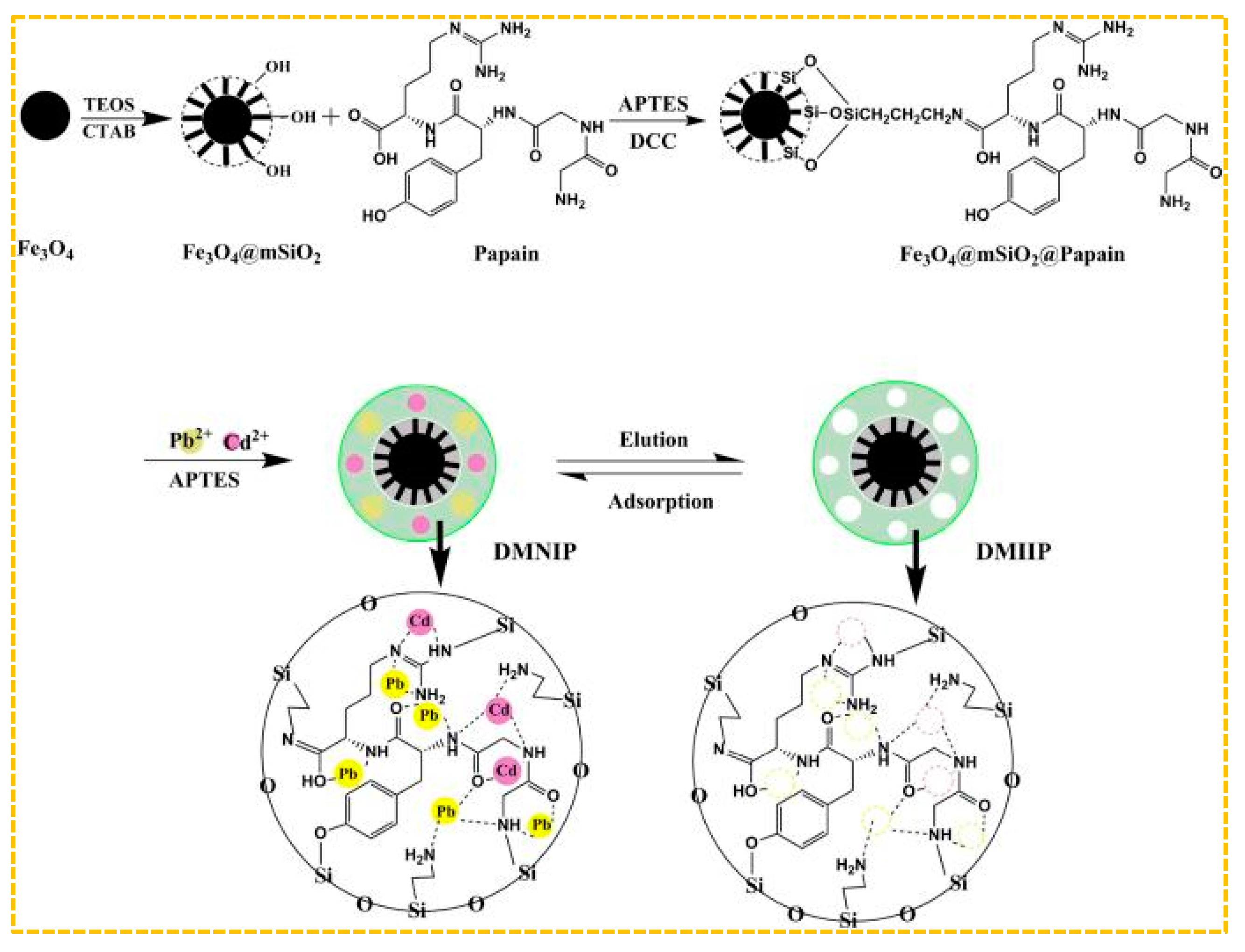 Molecules 29 03160 g010
