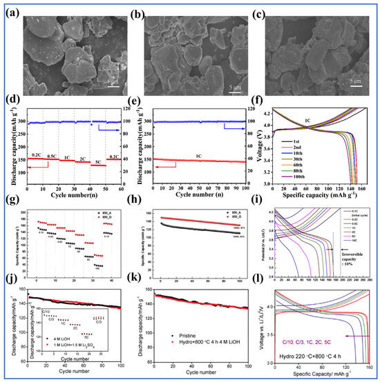 Molecules 29 03161 g014