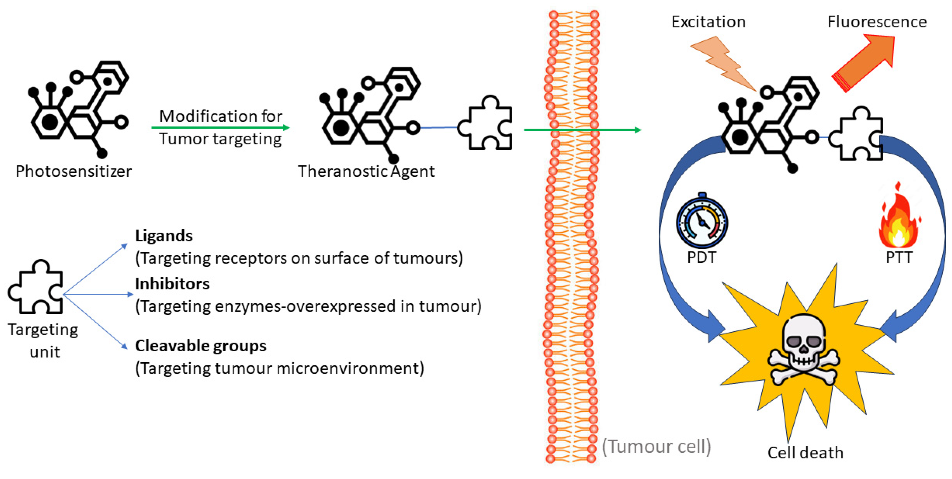 Molecules 29 03164 g002