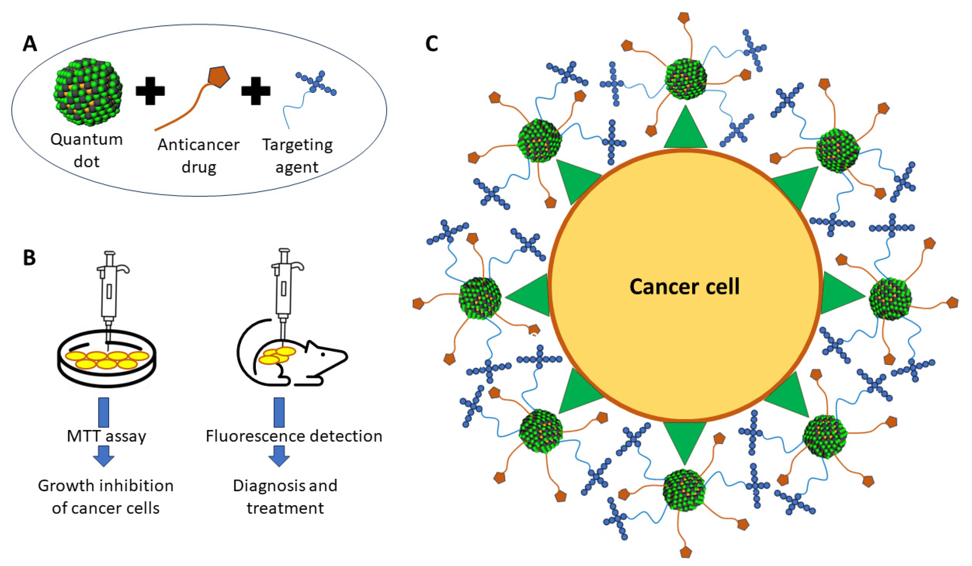 Molecules 29 03164 g007