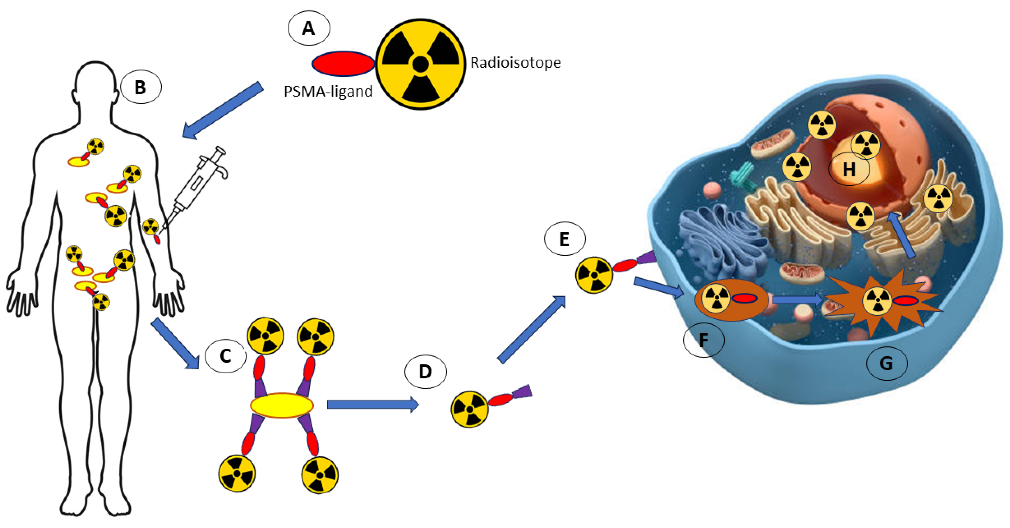Molecules 29 03164 g008