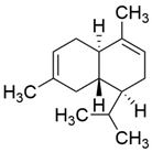 Molecules 29 03165 i014