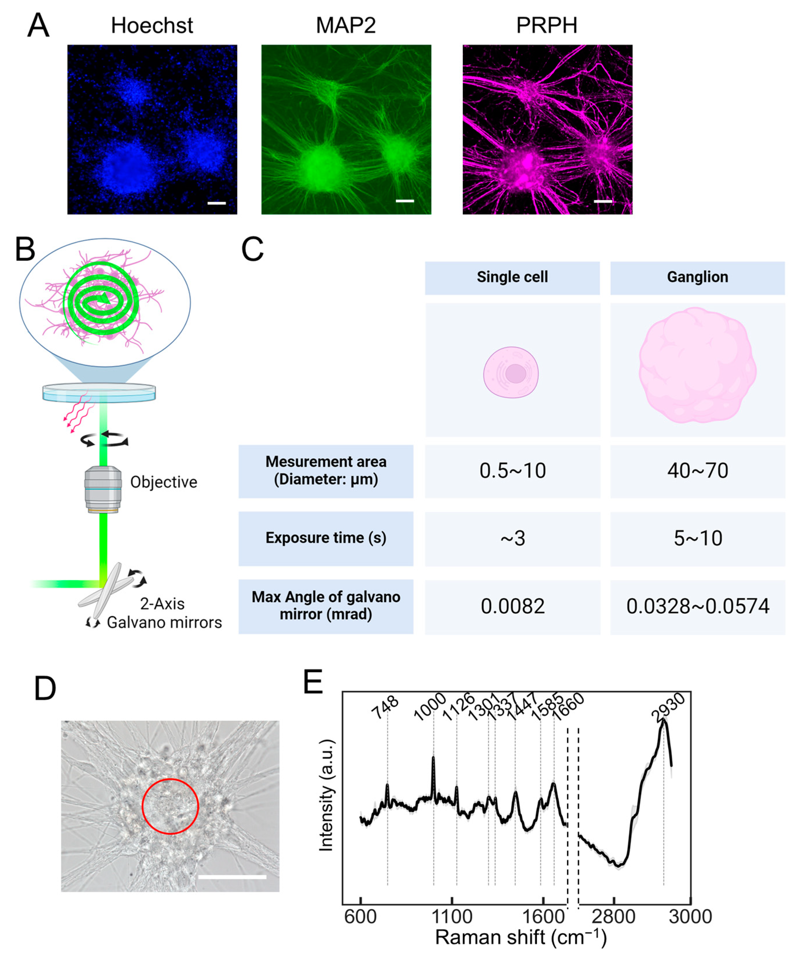 Molecules 29 03174 g002