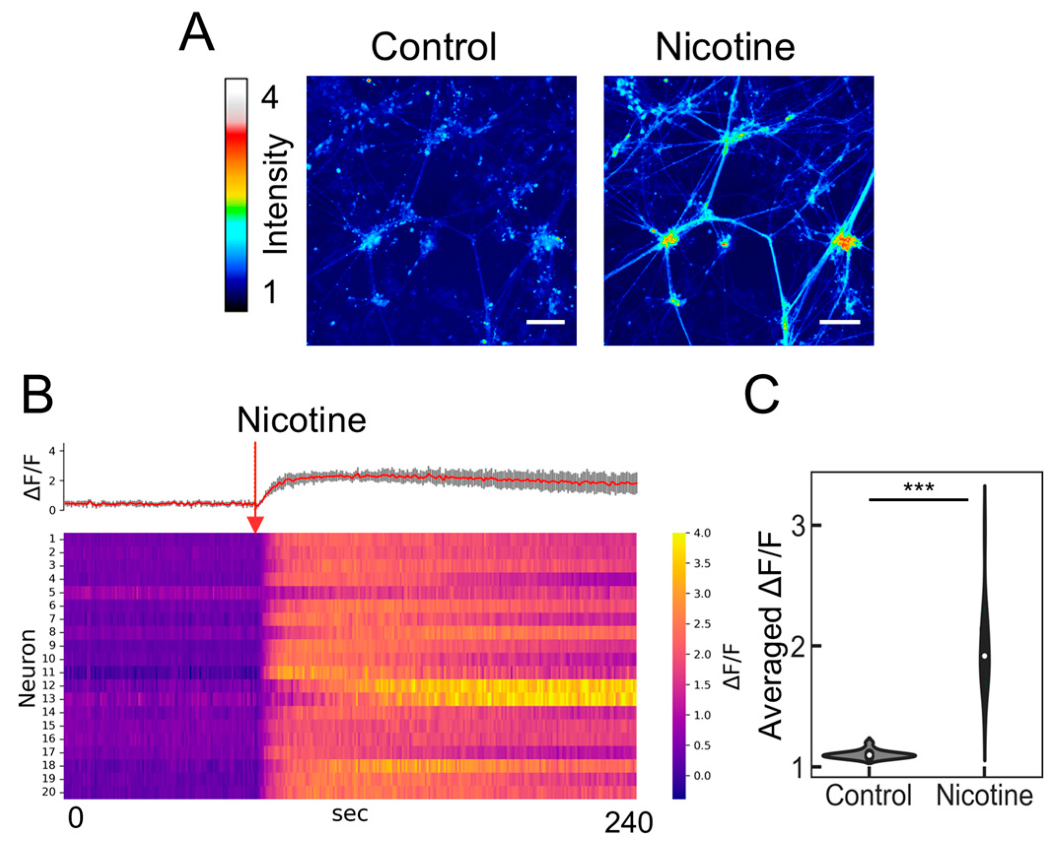 Molecules 29 03174 g003