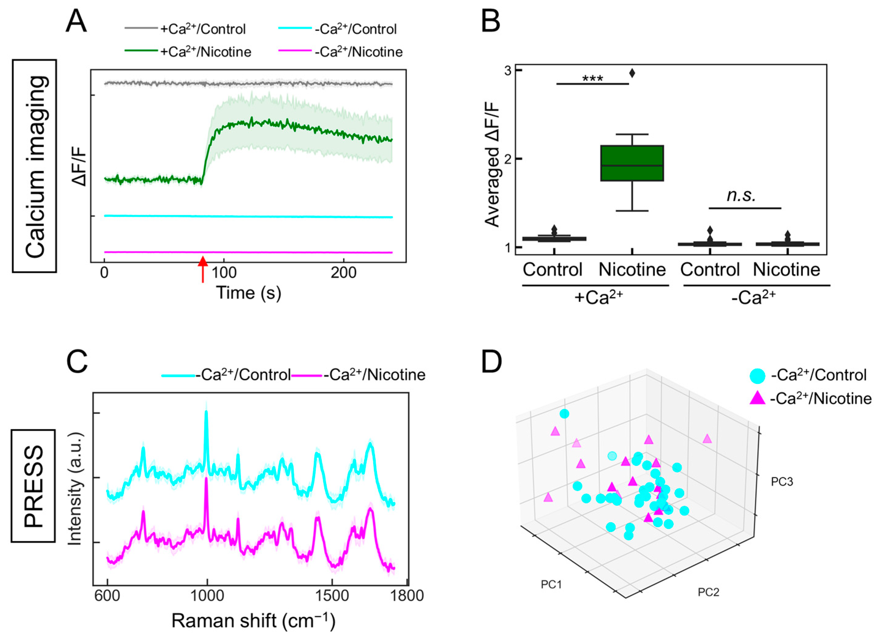 Molecules 29 03174 g005