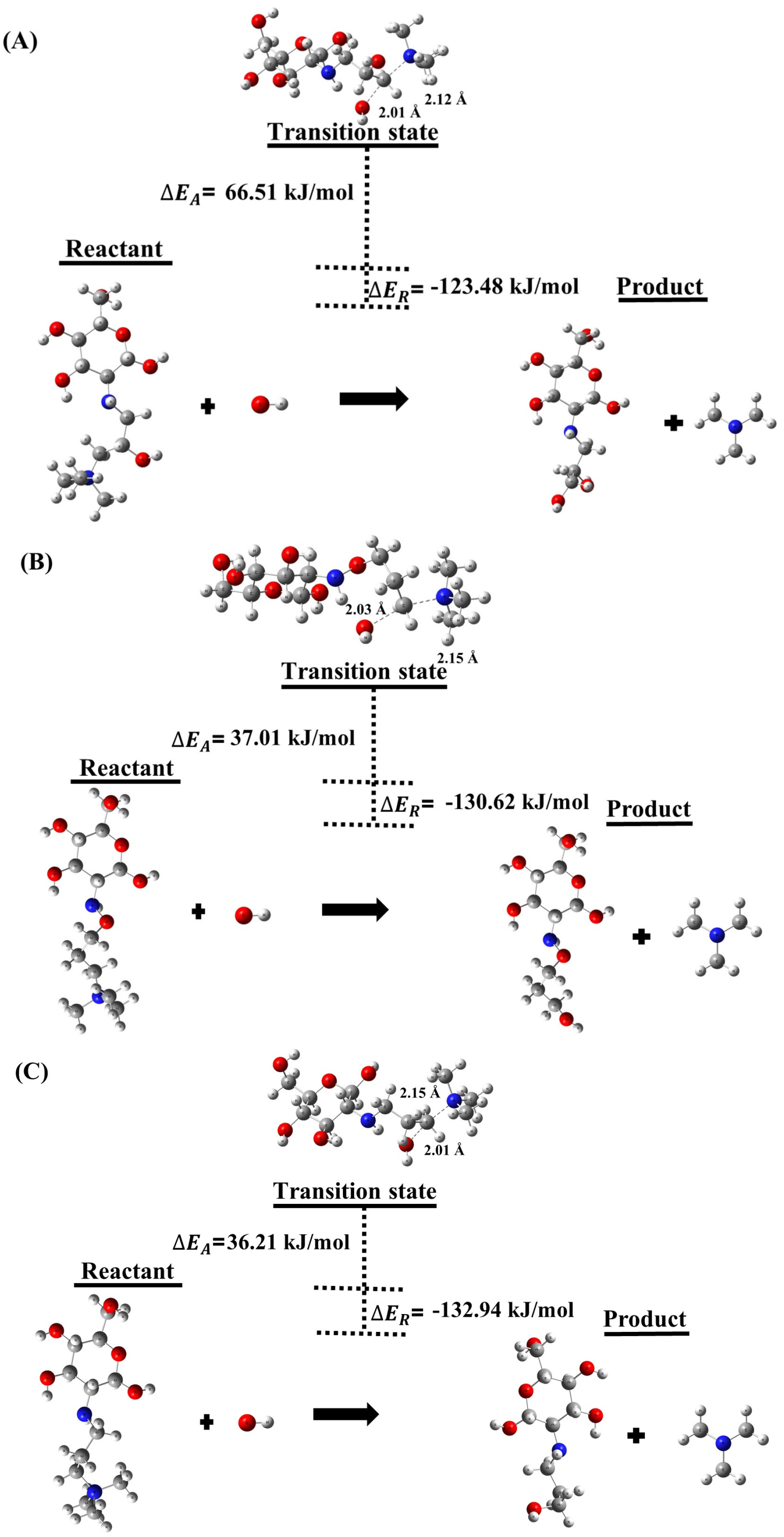 Molecules 29 03175 g001