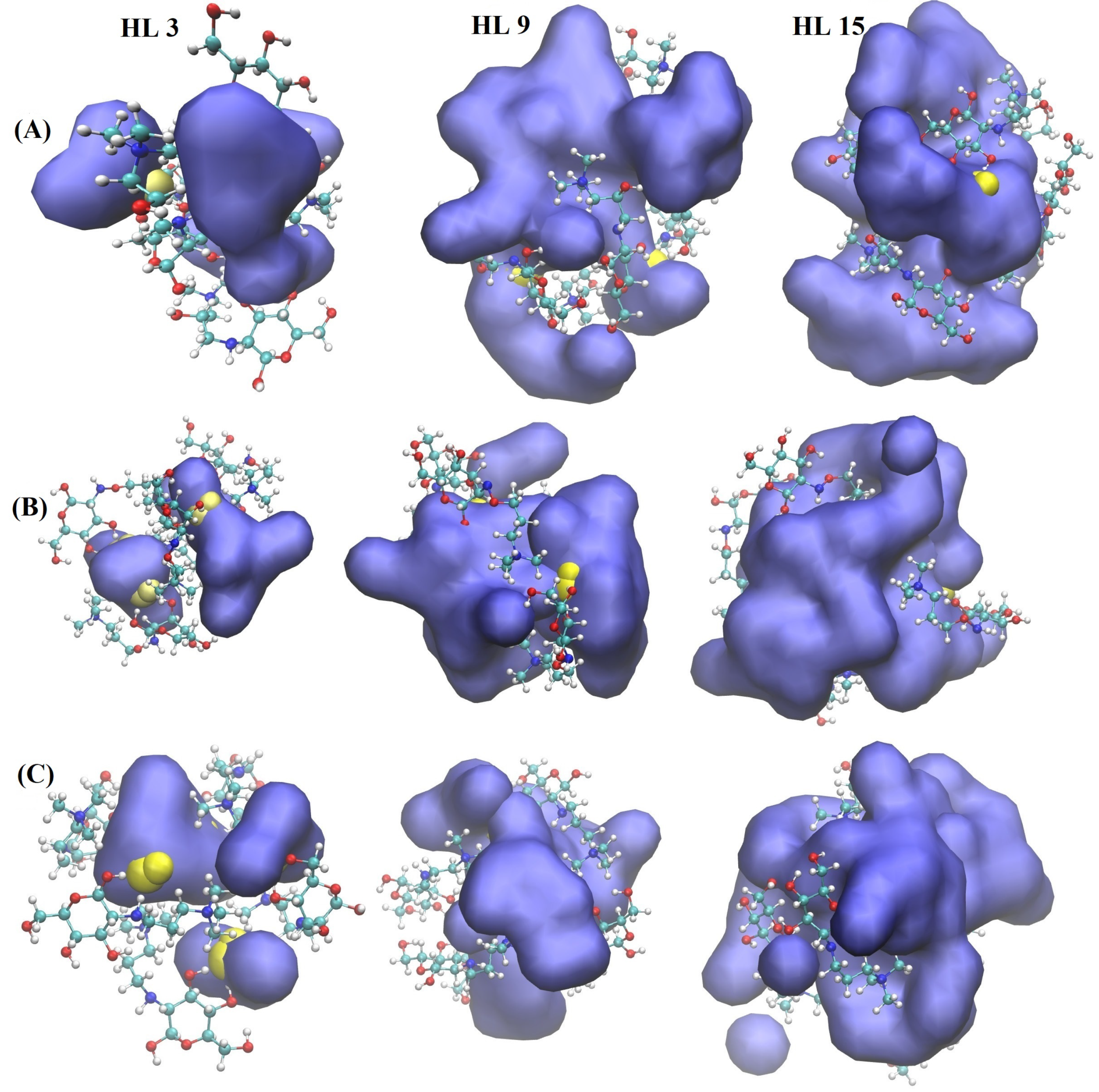 Molecules 29 03175 g006