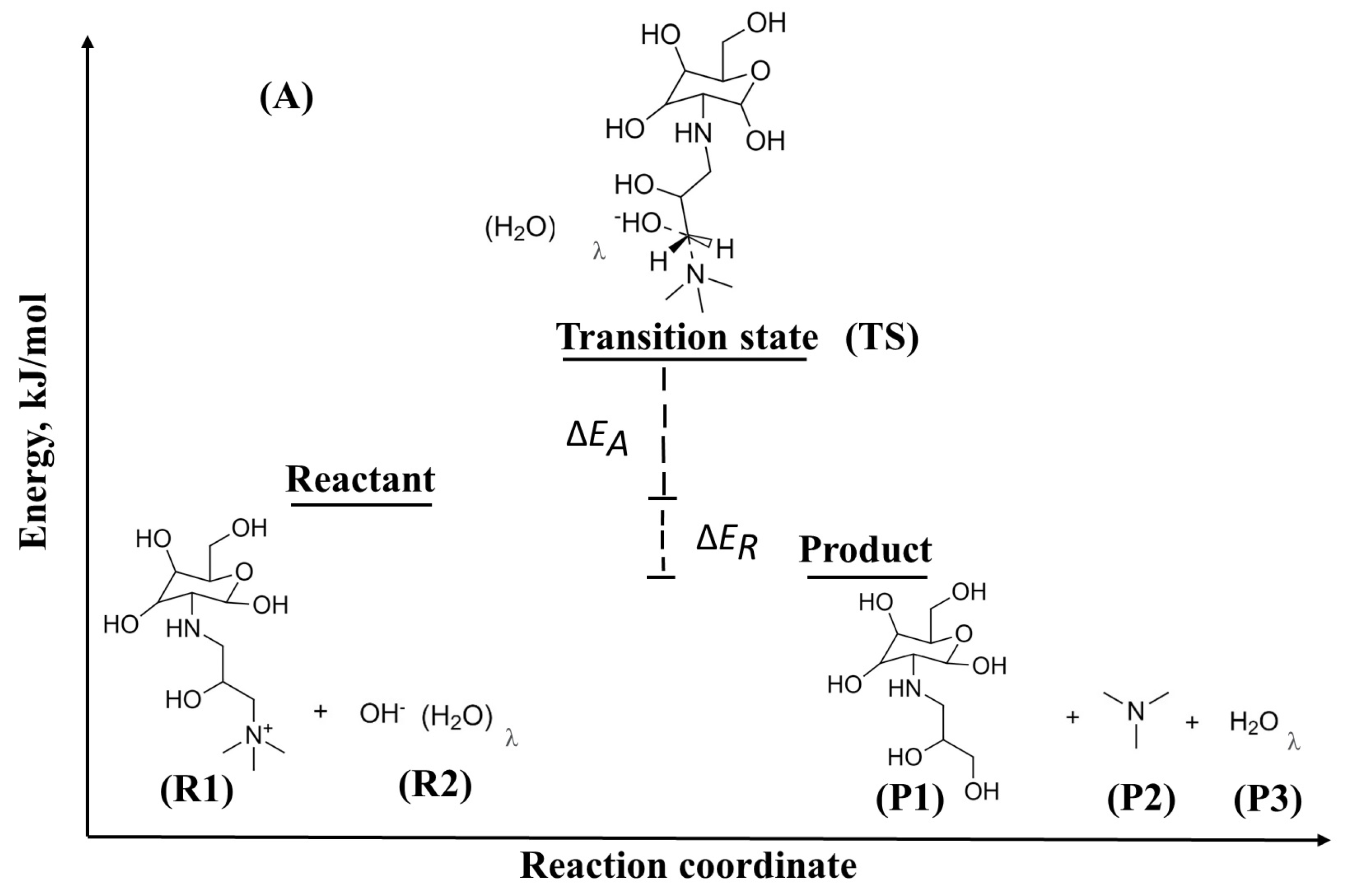 Molecules 29 03175 g010