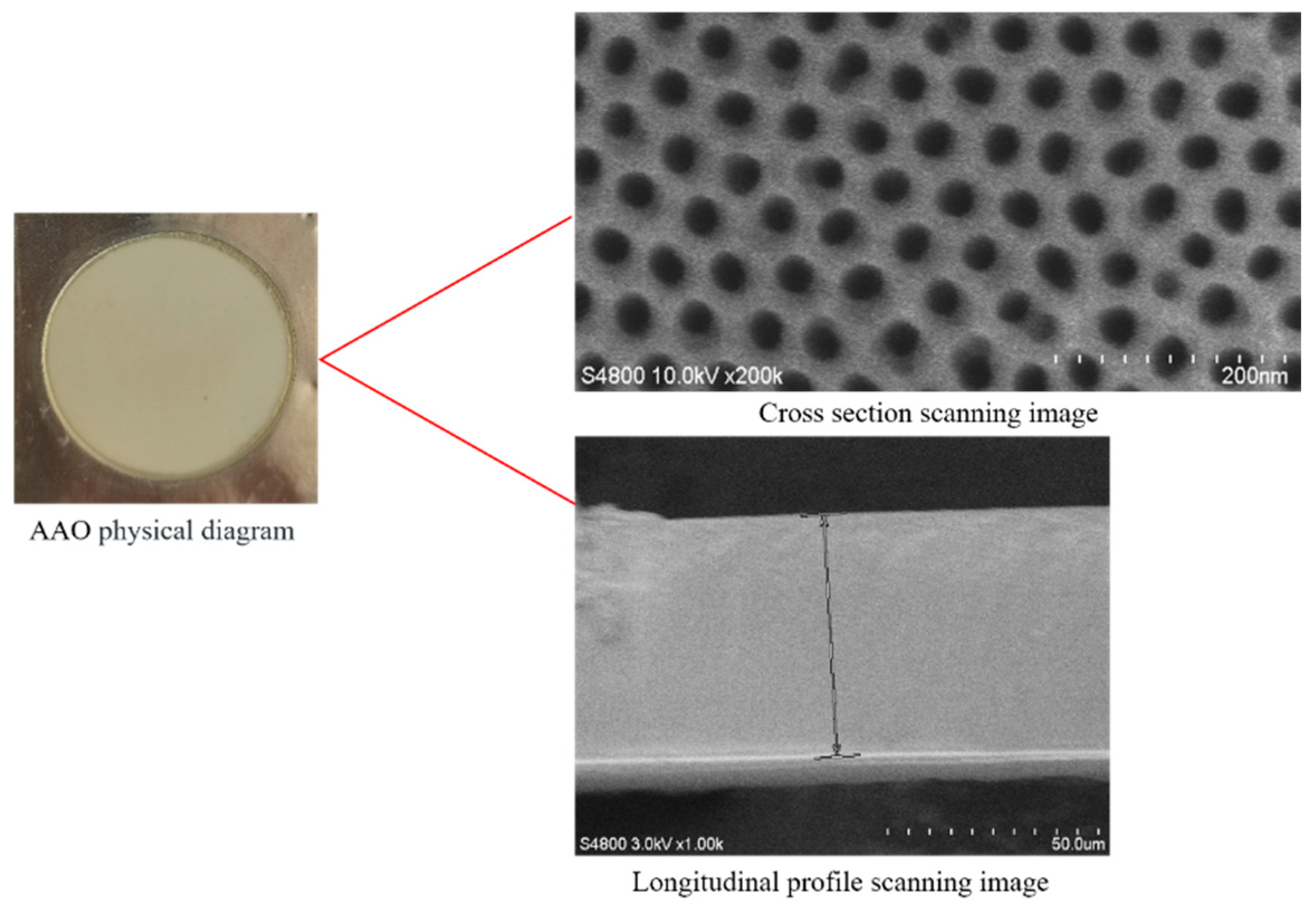 Molecules 29 03176 g010