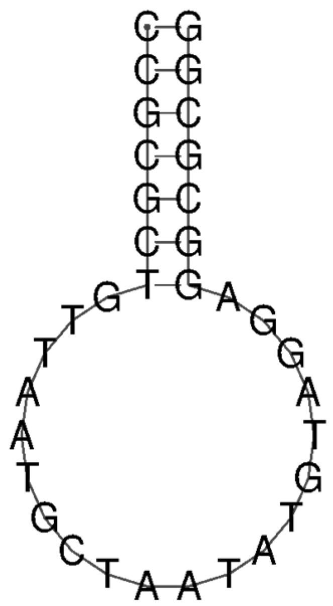 Molecules 29 03182 g001