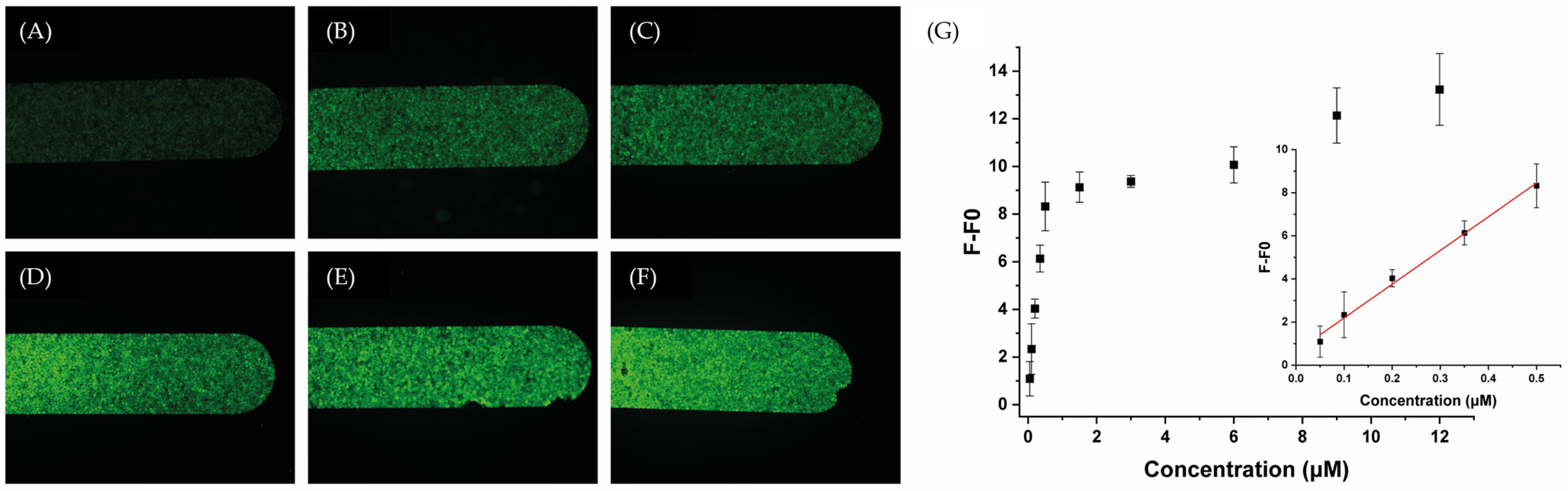 Molecules 29 03182 g003