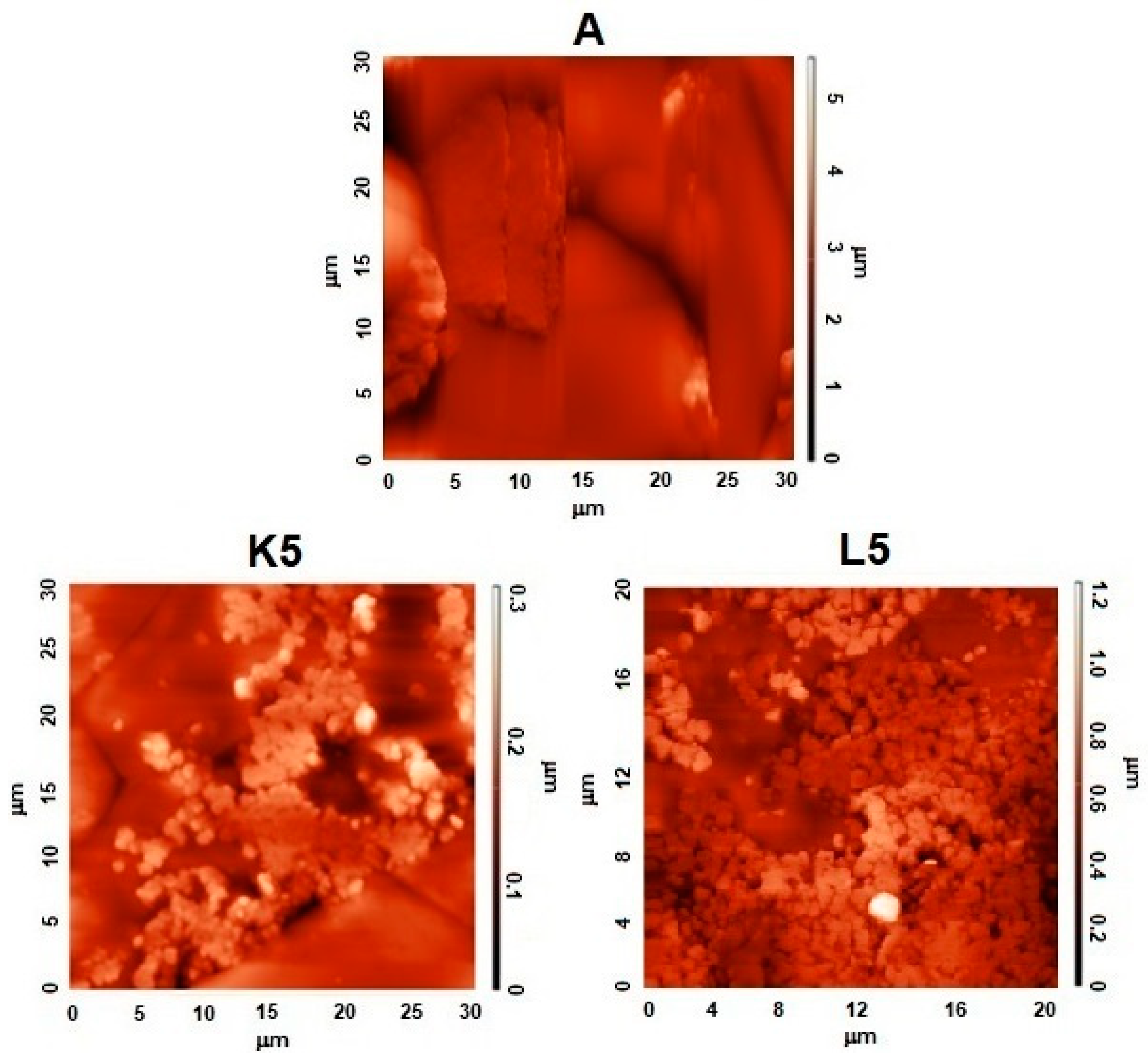 Molecules 29 03184 g003