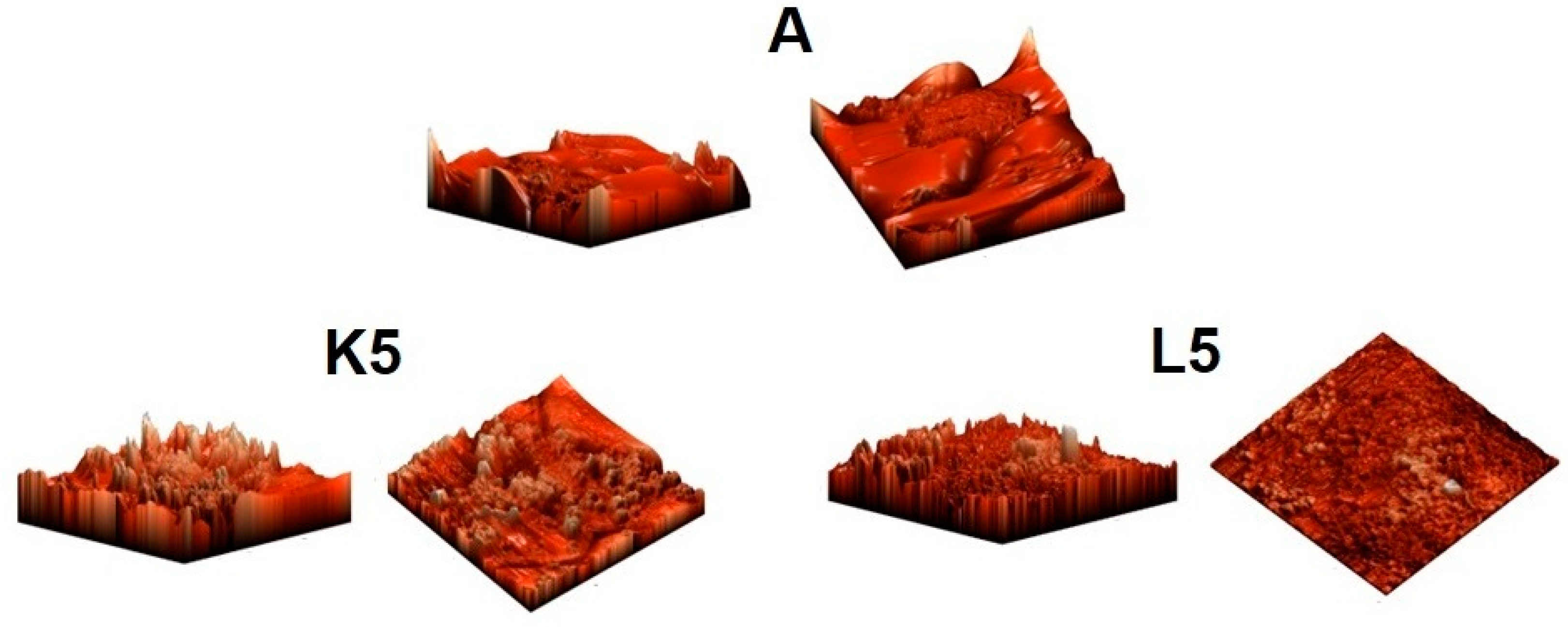Molecules 29 03184 g004