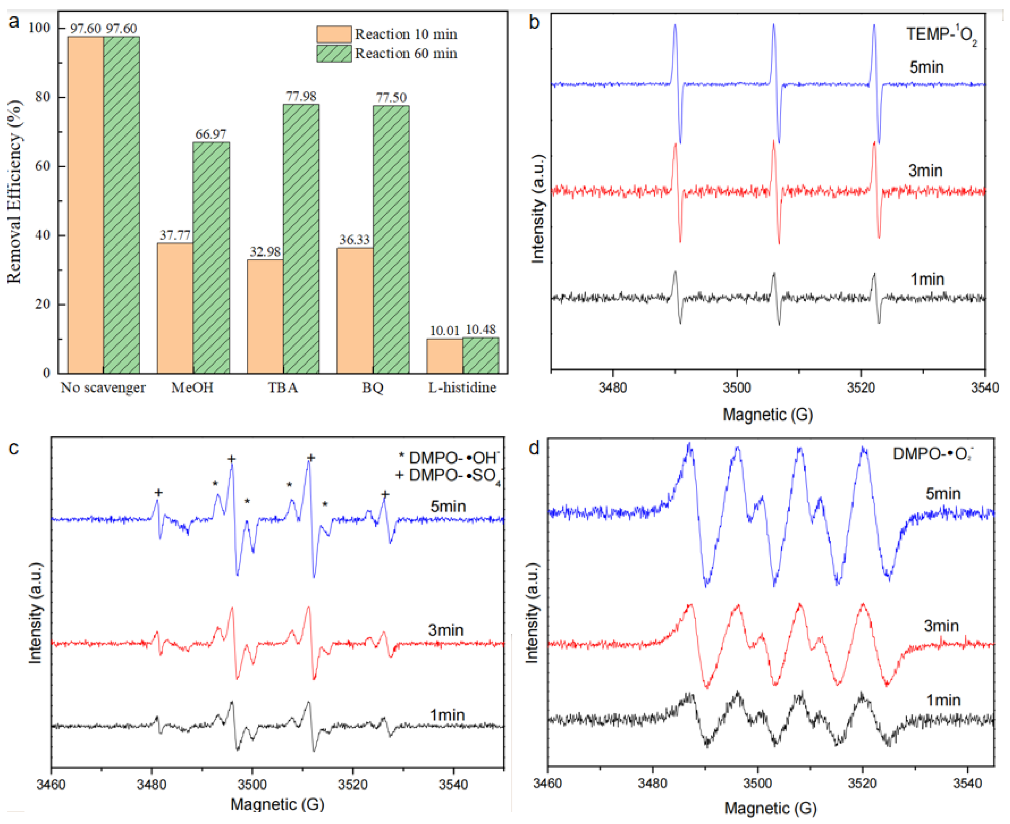 Molecules 29 03185 g013