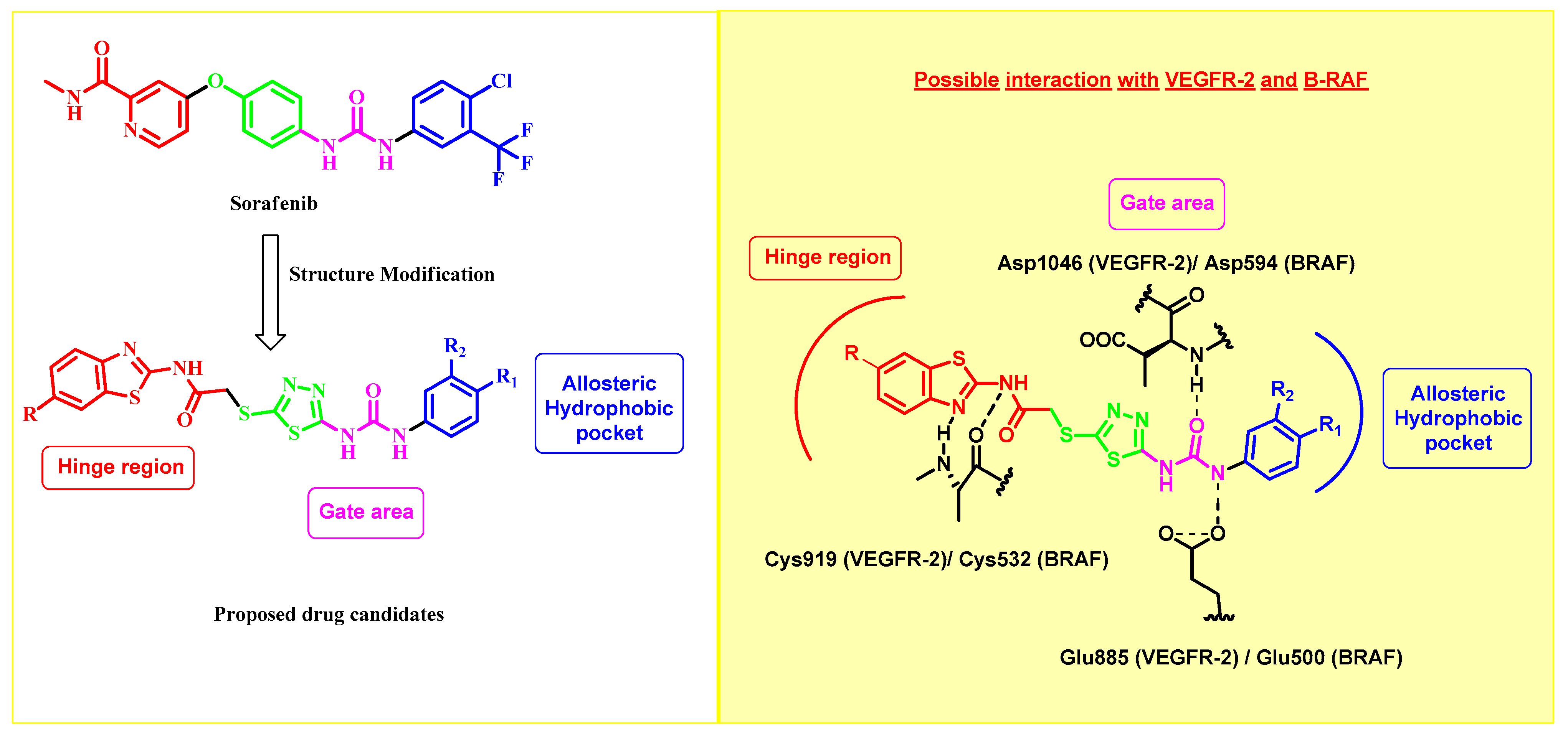 Molecules 29 03186 g003