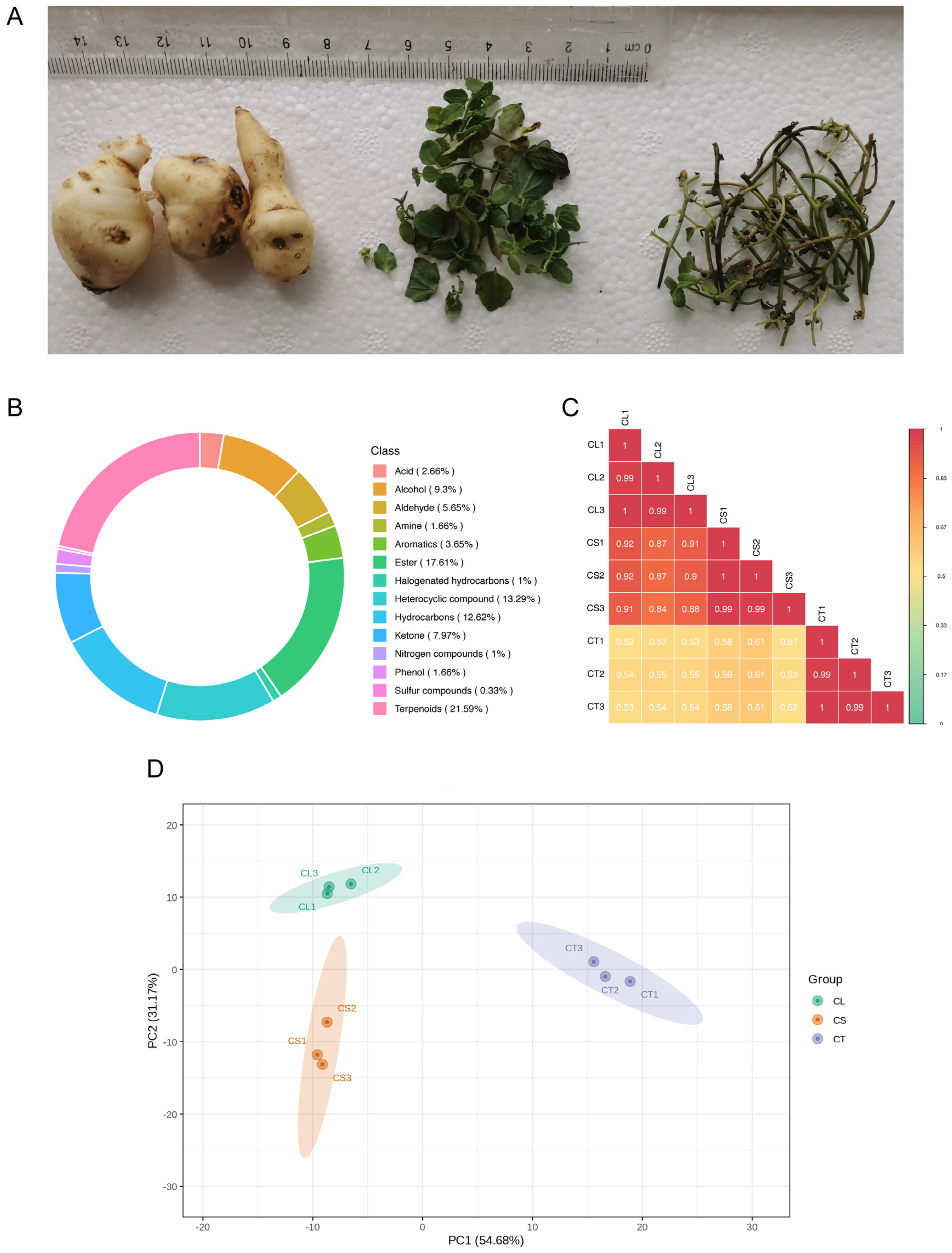 Molecules 29 03193 g004