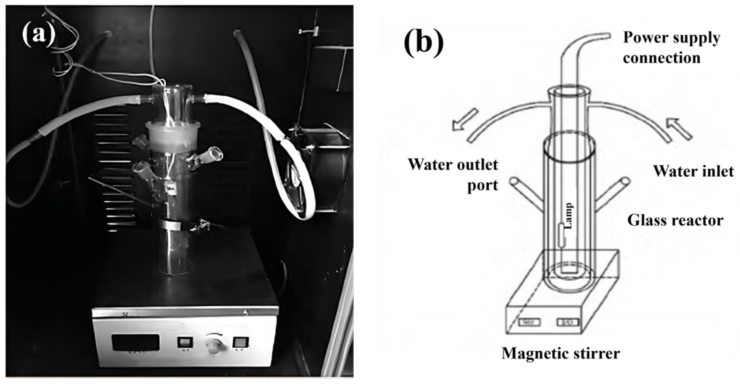 Molecules 29 03202 g001