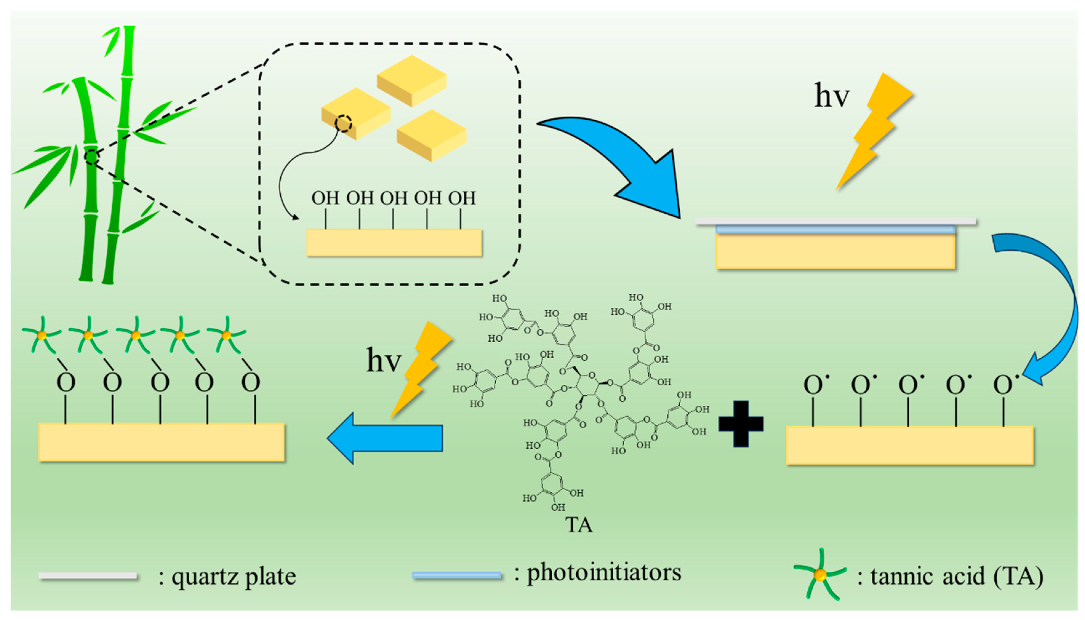 Molecules 29 03203 g007