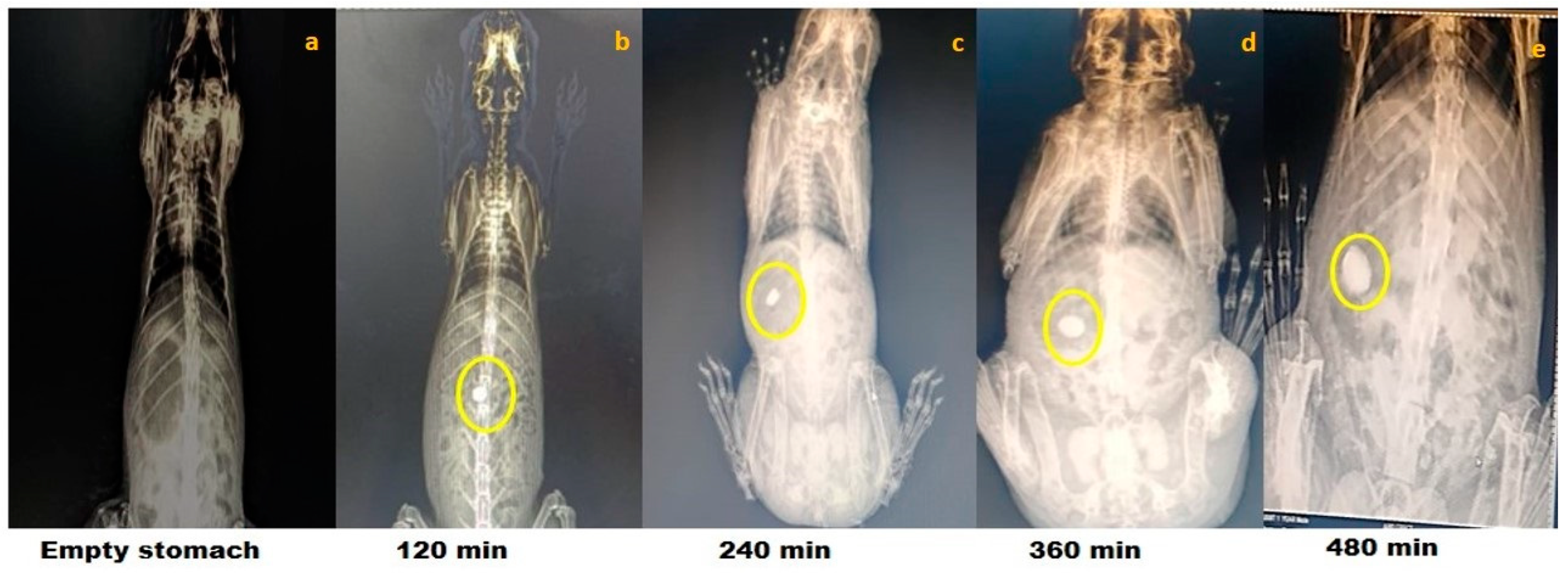 Molecules 29 03208 g002