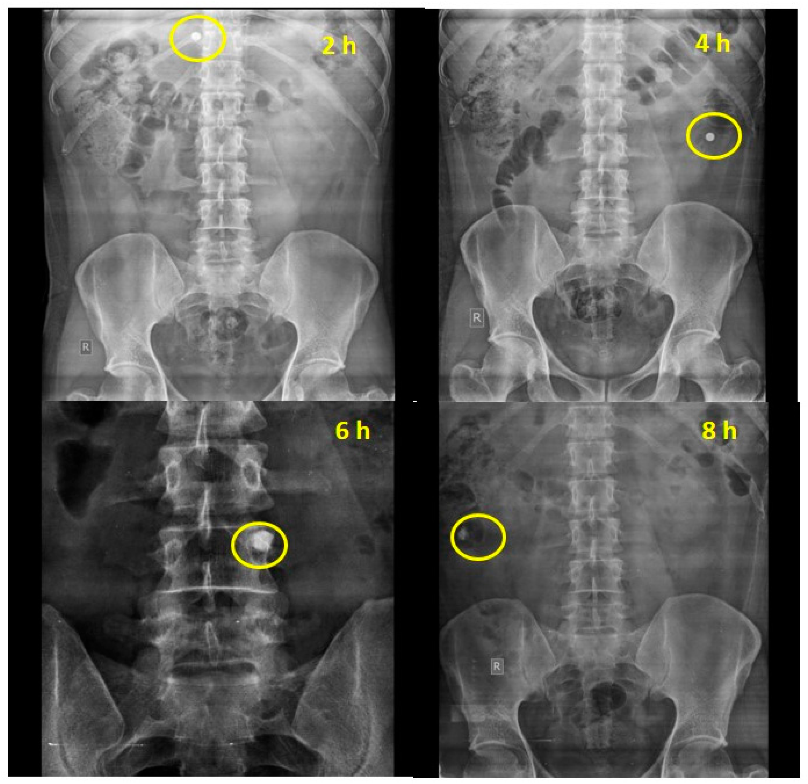 Molecules 29 03208 g003