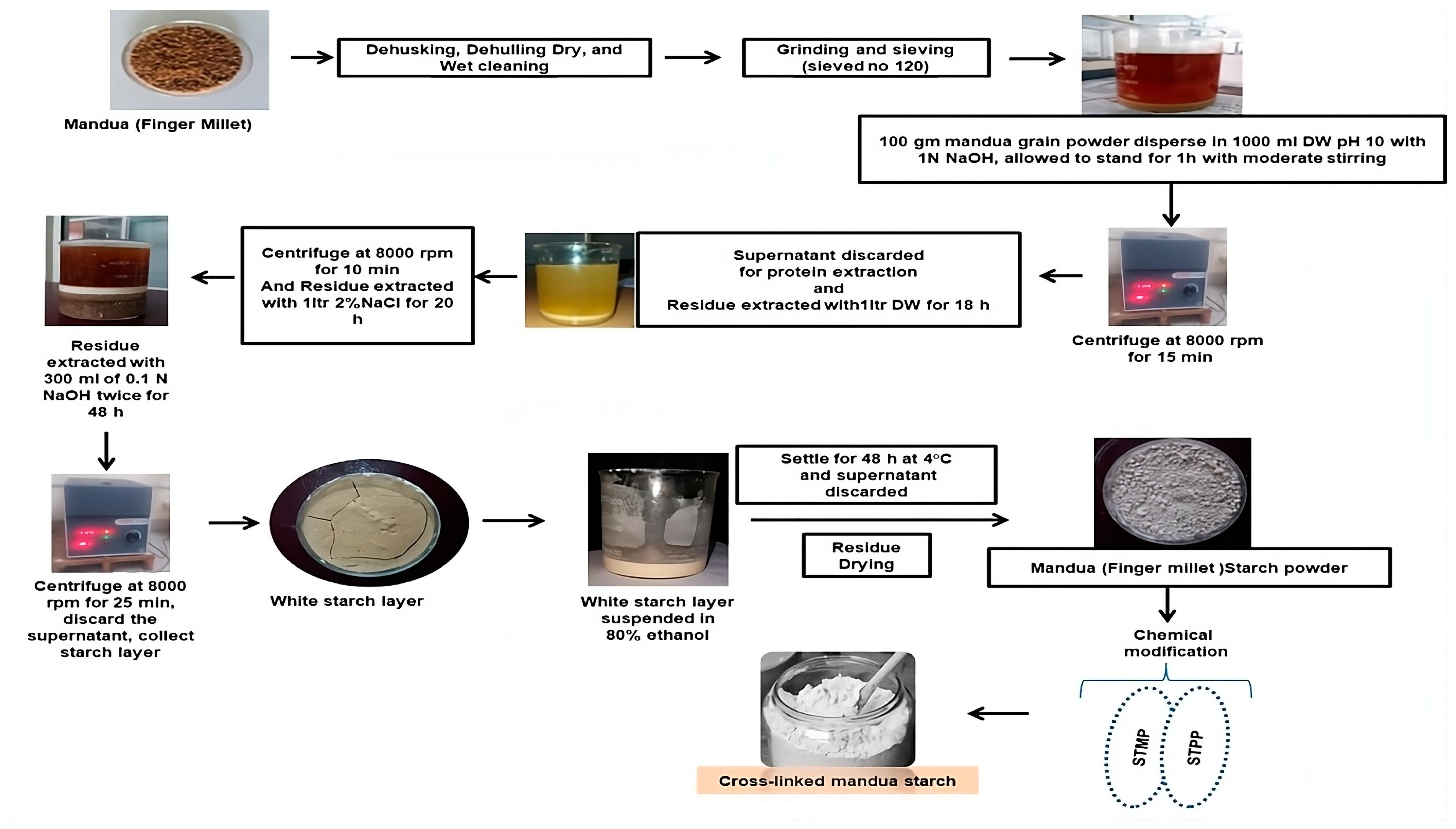 Molecules 29 03208 g004
