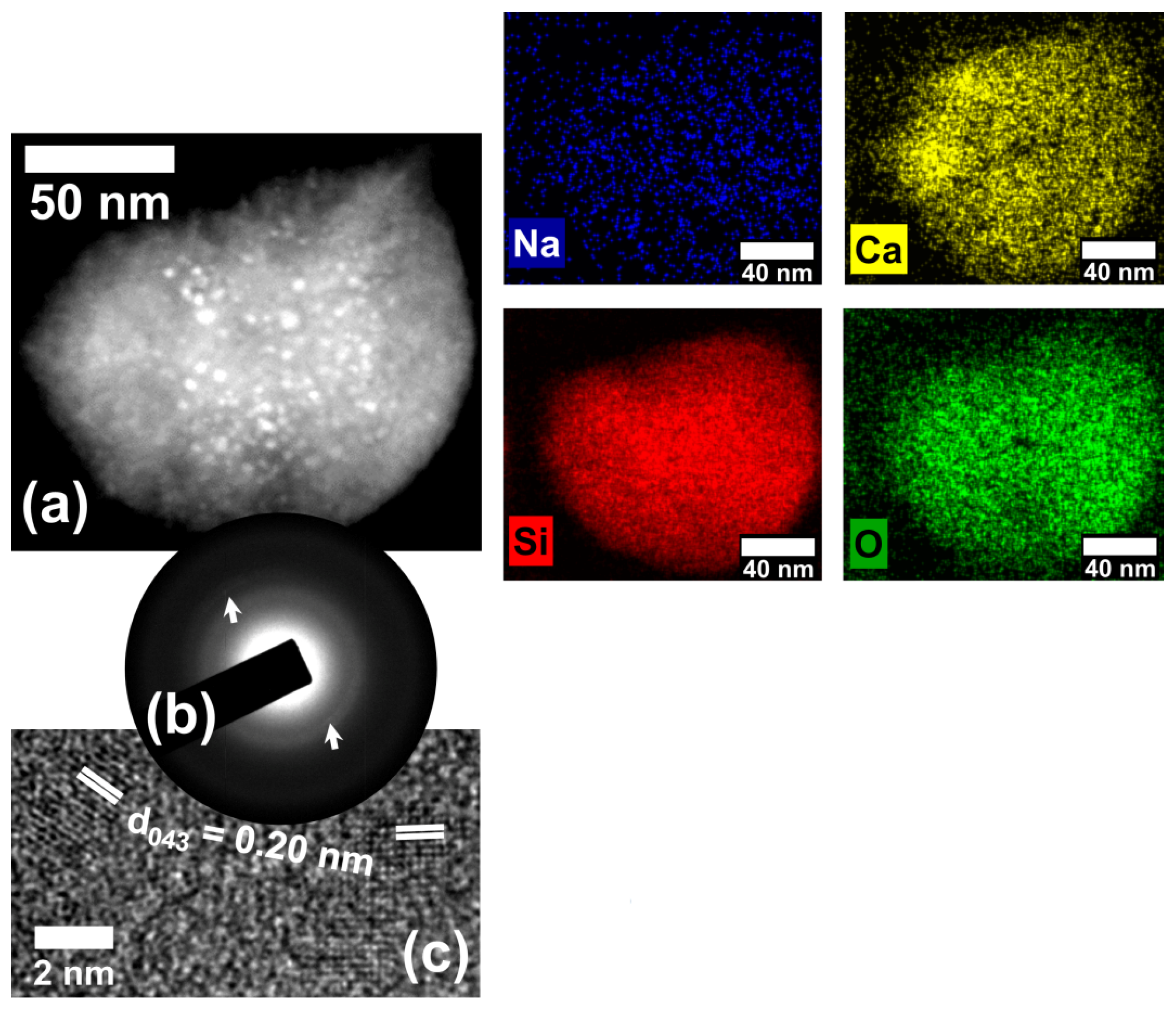 Molecules 29 03212 g002