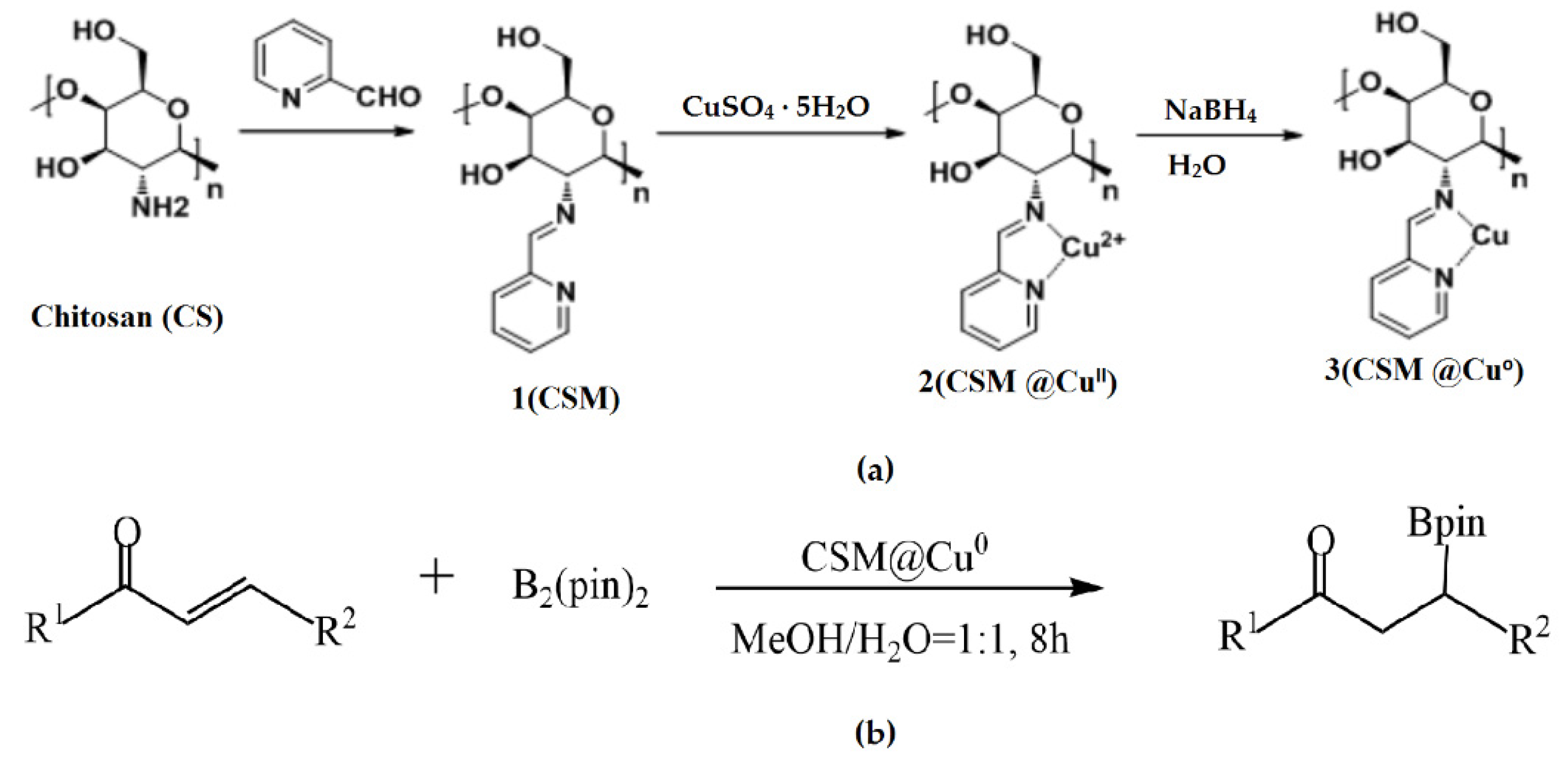 Molecules 29 03214 g007