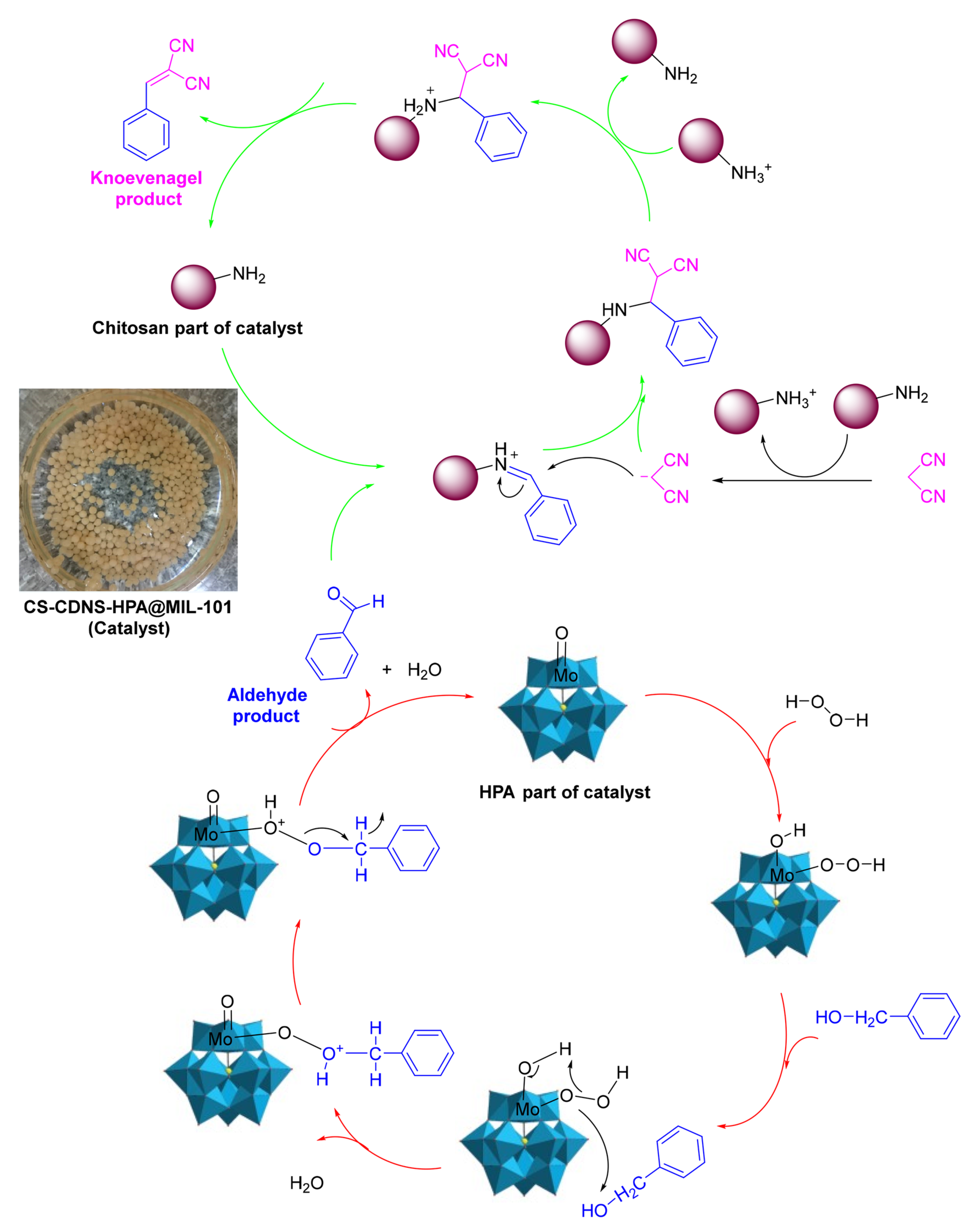 Molecules 29 03214 g024