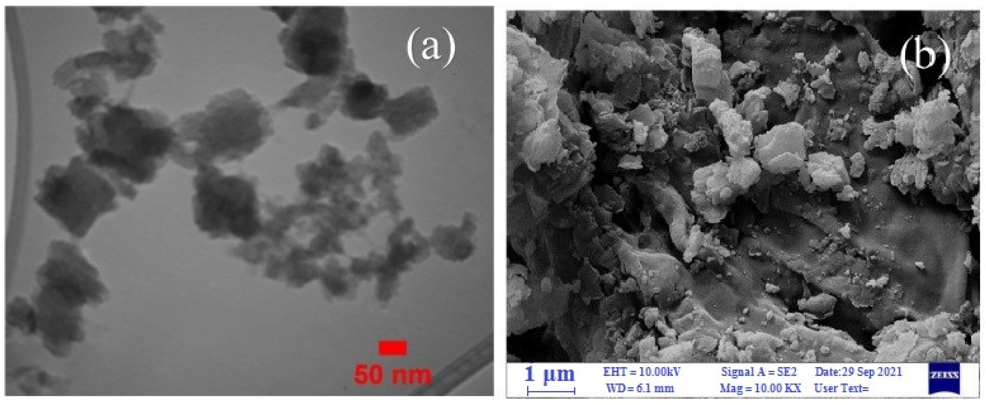 Molecules 29 03214 g036