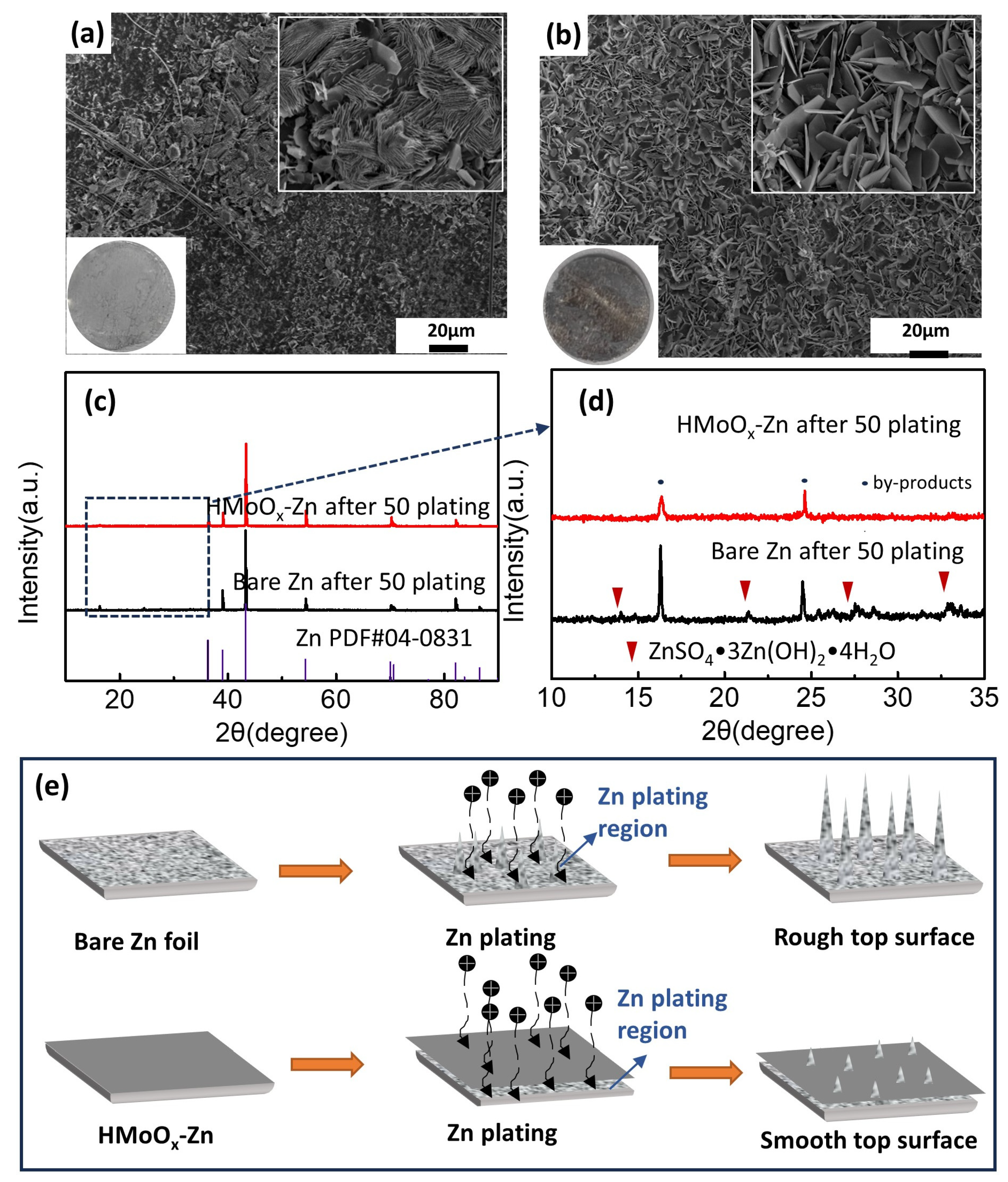 Molecules 29 03229 g008