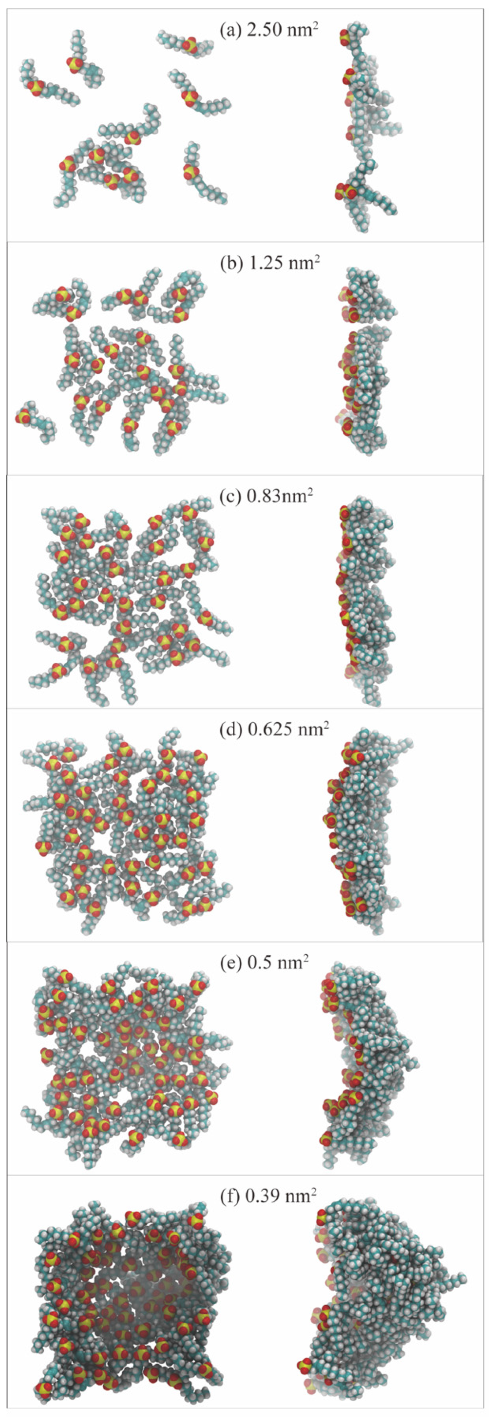 Molecules 29 03230 g014 Molecules 29 03230 g014
