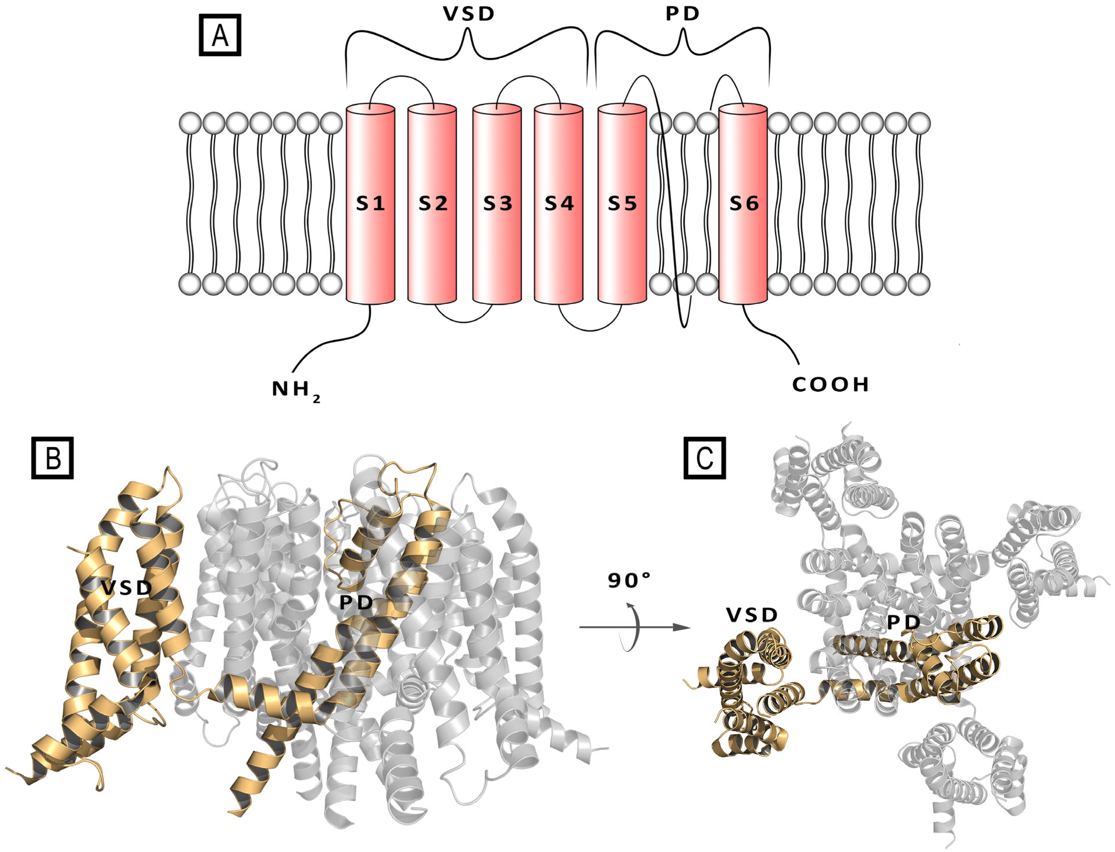 Molecules 29 03234 g001 Molecules 29 03234 g001
