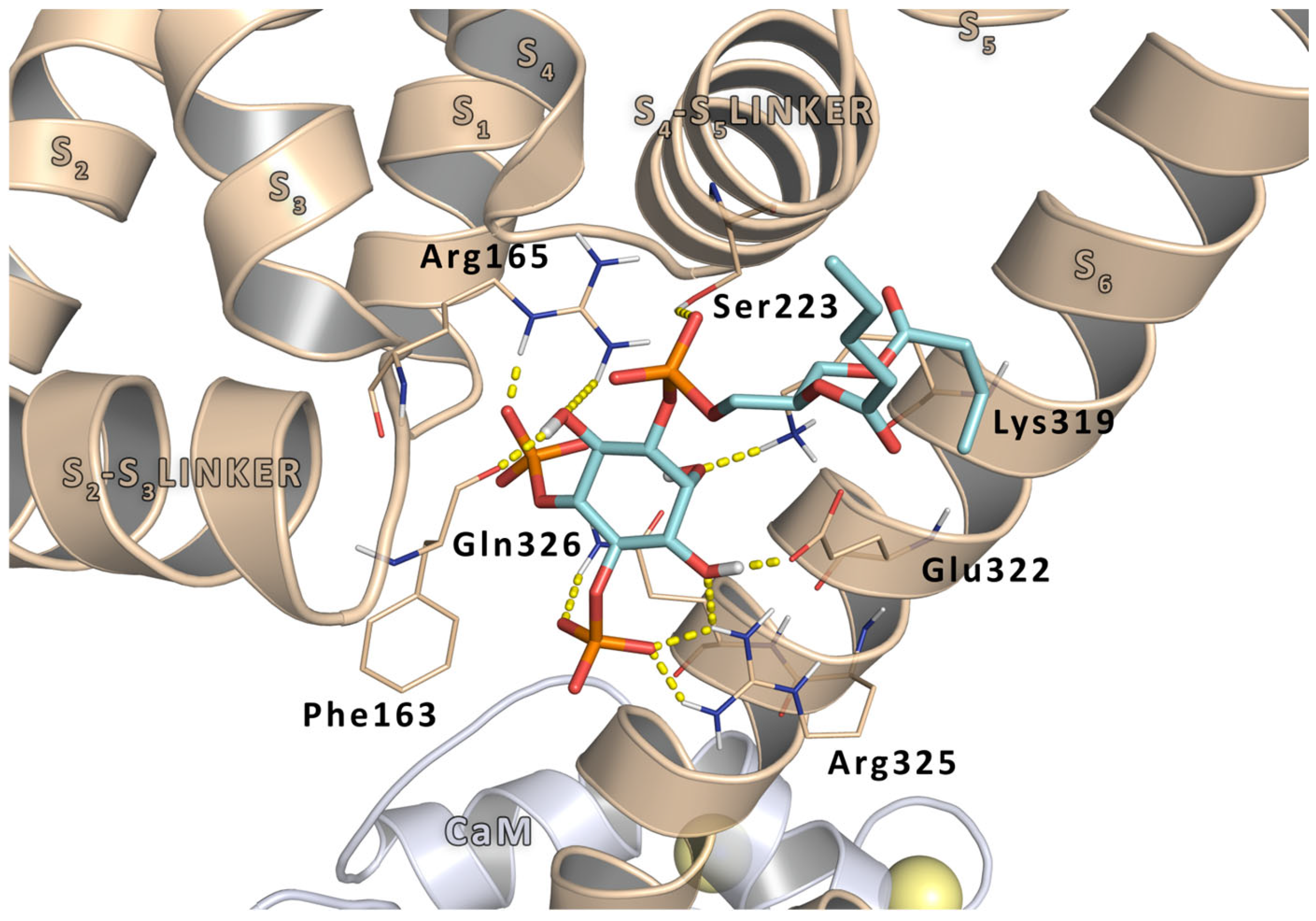 Molecules 29 03234 g002 Molecules 29 03234 g002