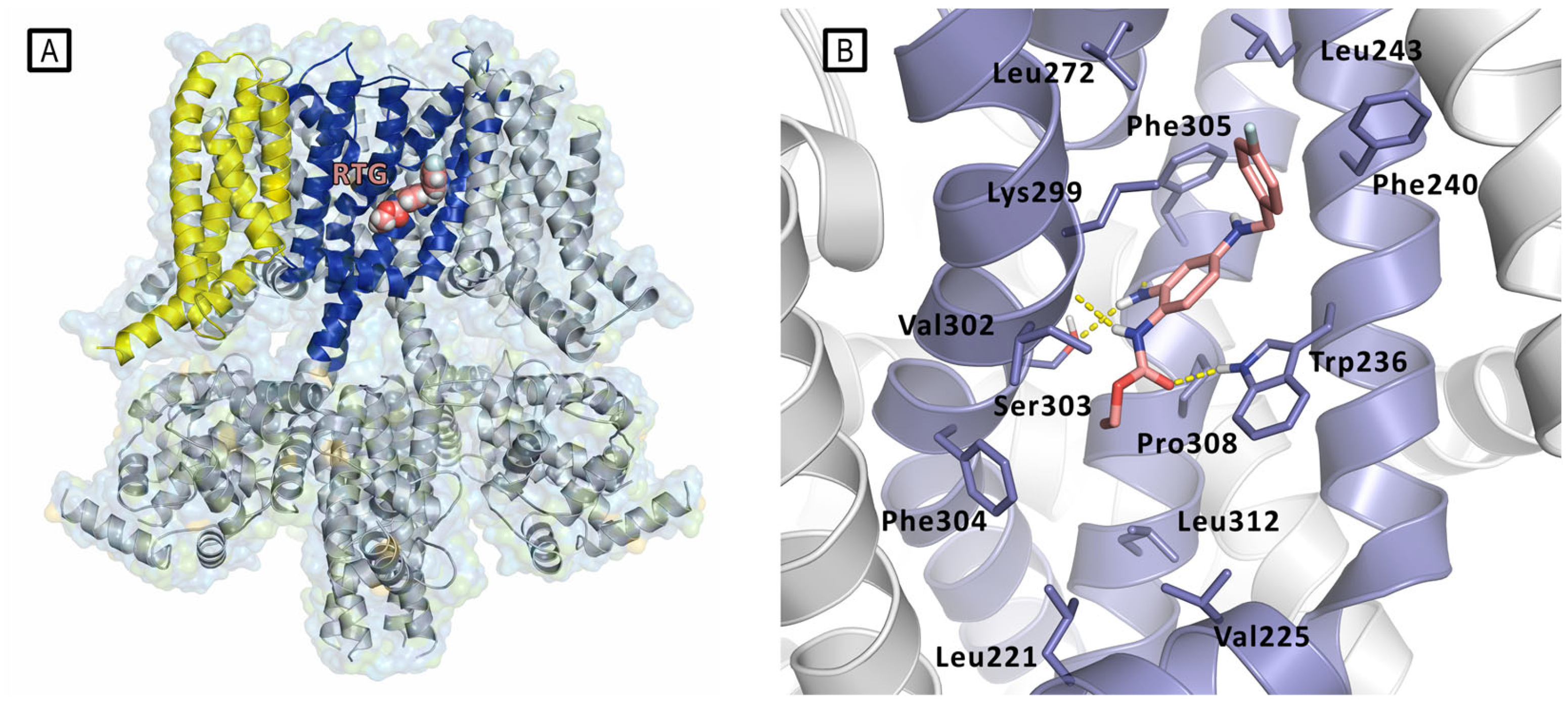 Molecules 29 03234 g009 Molecules 29 03234 g009