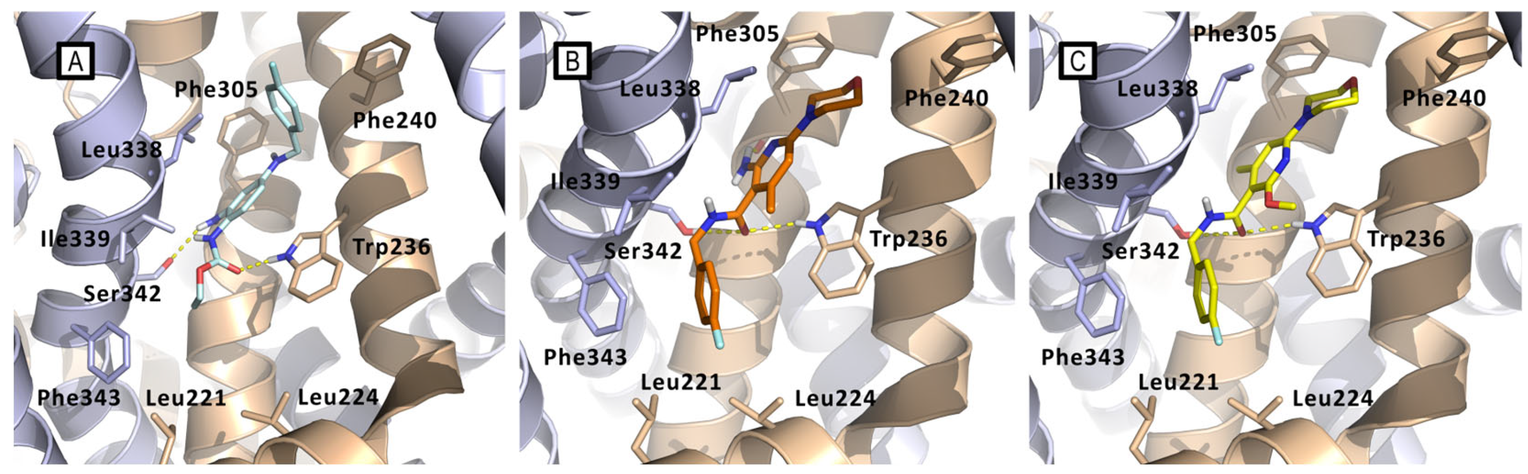 Molecules 29 03234 g021 Molecules 29 03234 g021