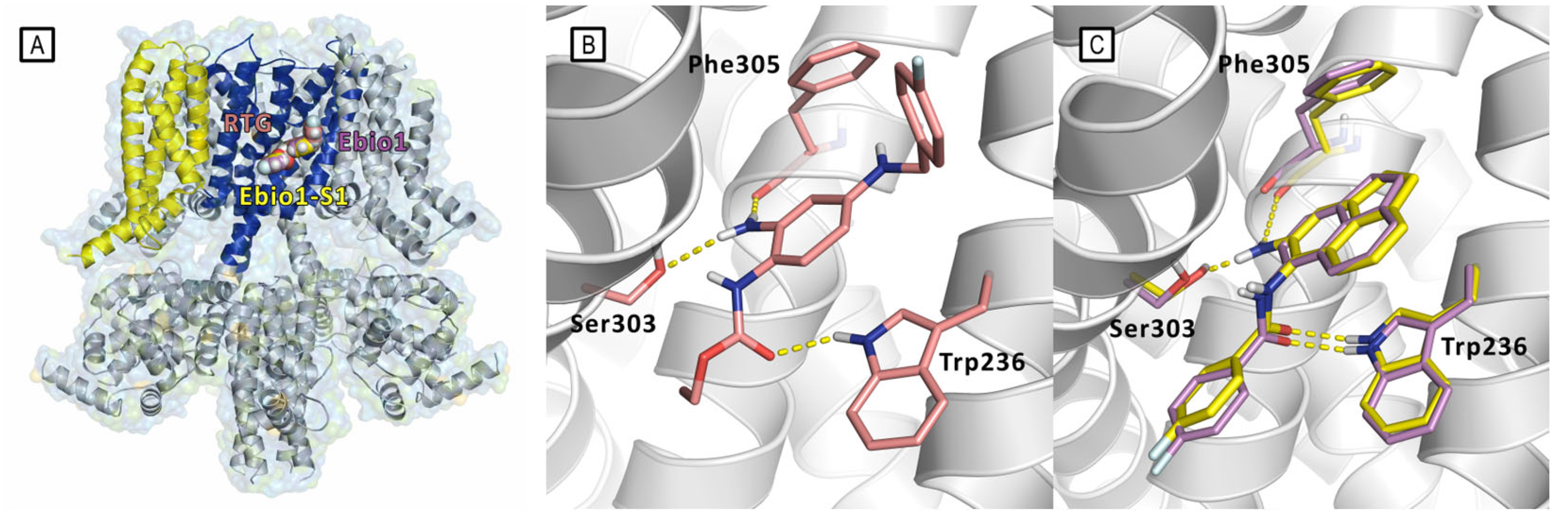 Molecules 29 03234 g023 Molecules 29 03234 g023