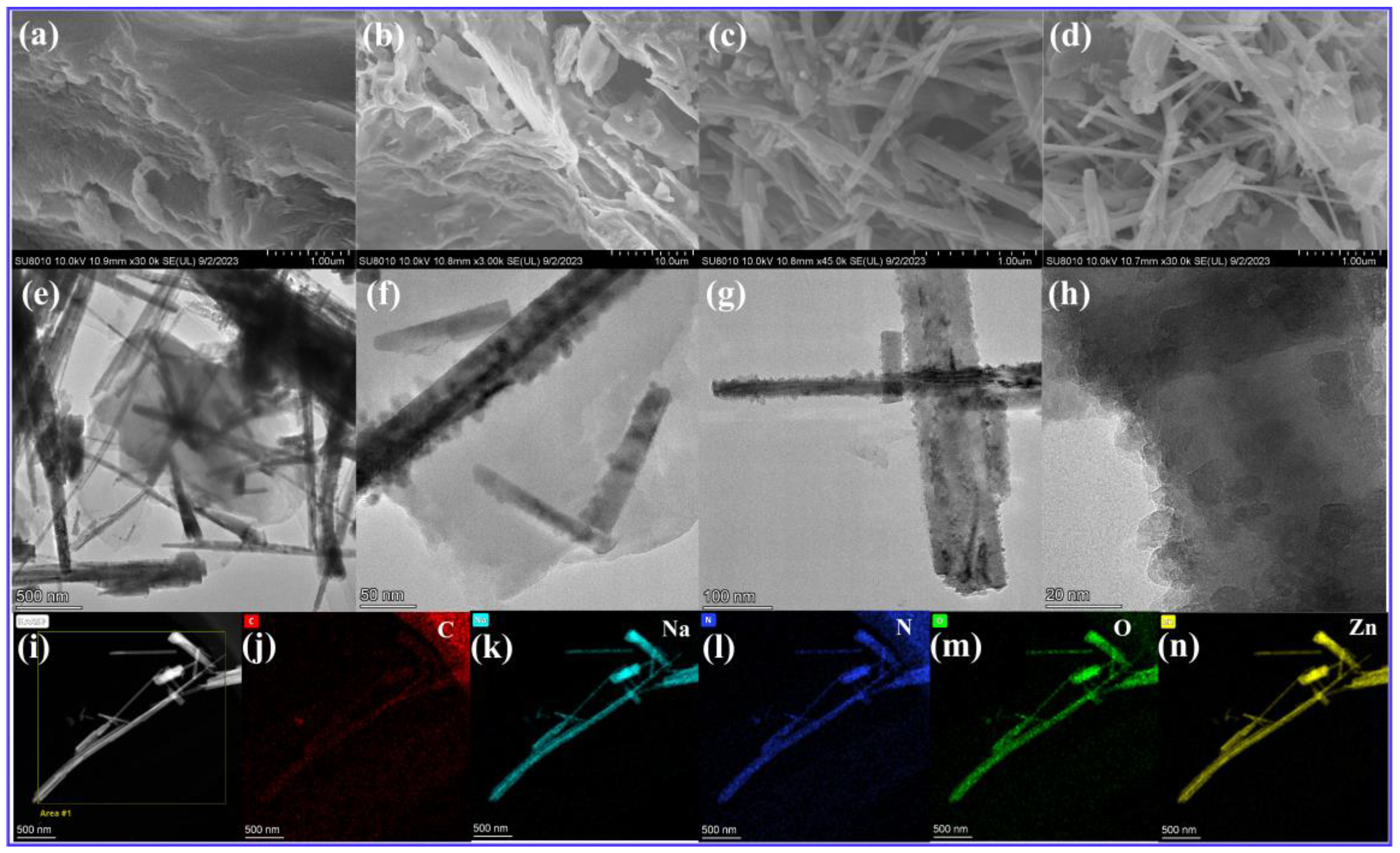 Molecules 29 03240 g002