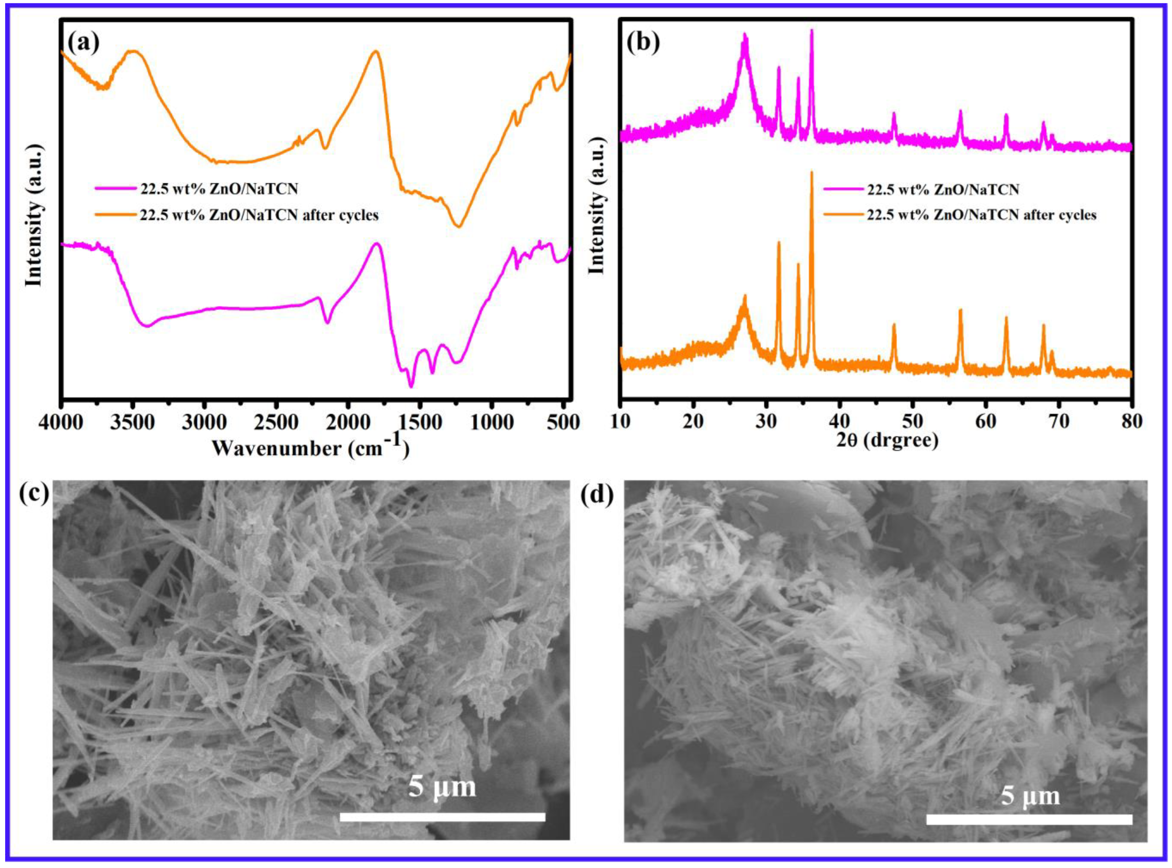 Molecules 29 03240 g004