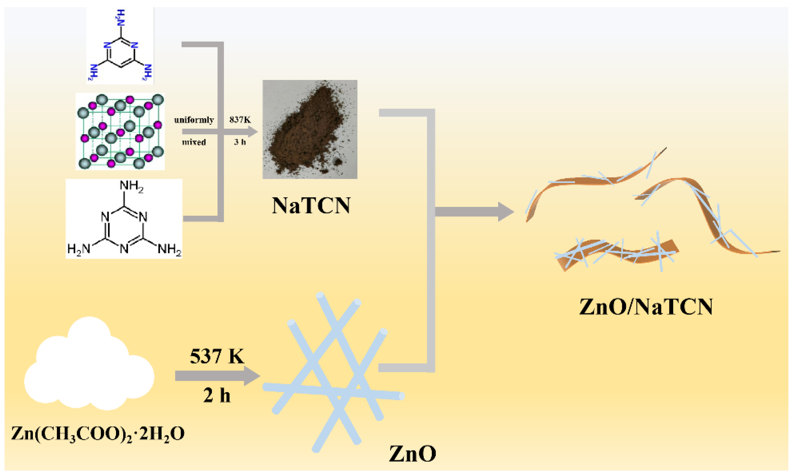 Molecules 29 03240 g005
