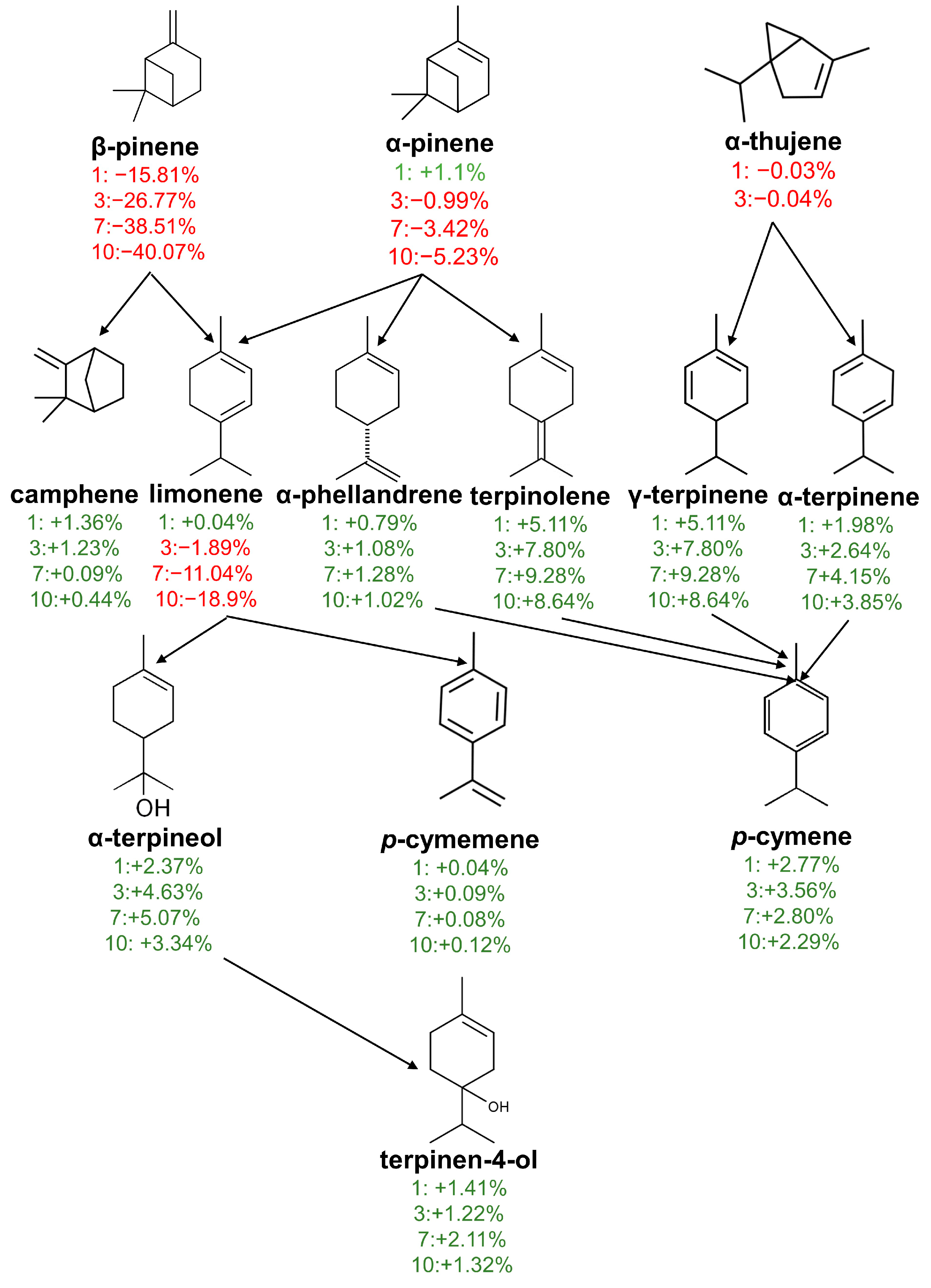 Molecules 29 03241 g001