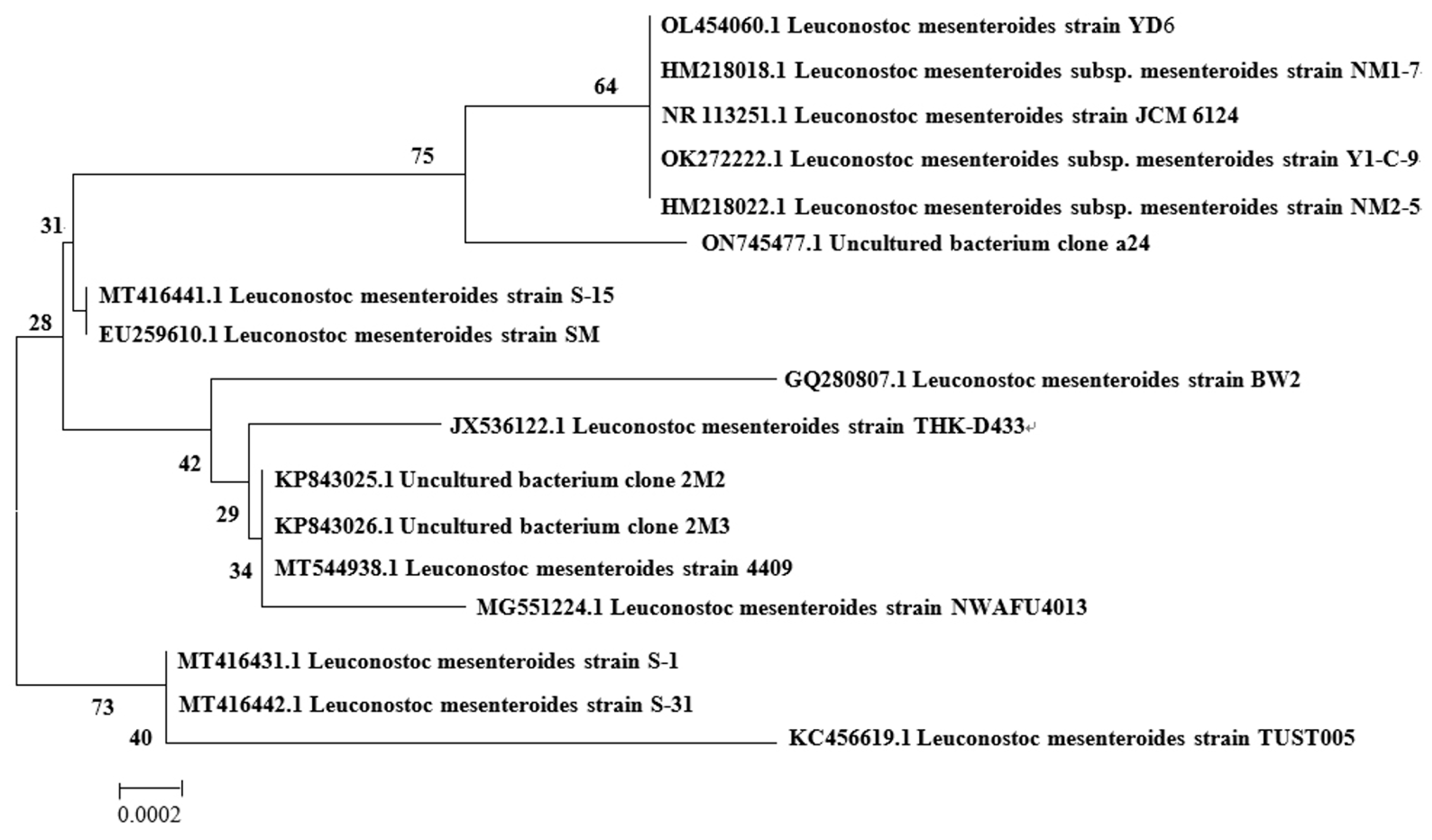 Molecules 29 03242 g002 Molecules 29 03242 g002