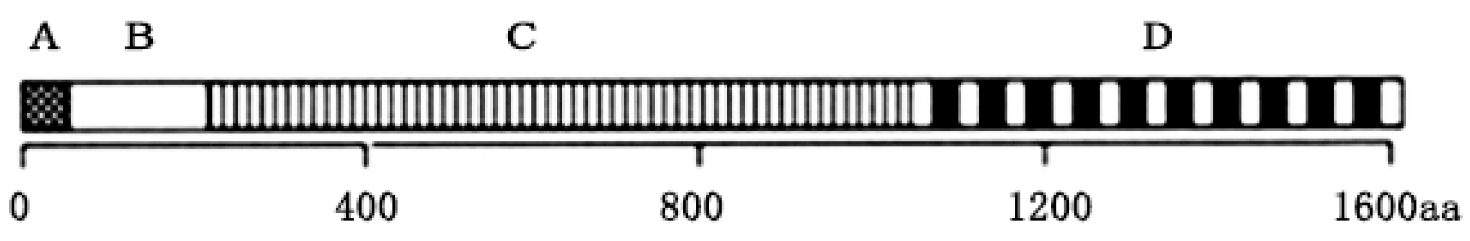 Molecules 29 03242 g004 Molecules 29 03242 g004